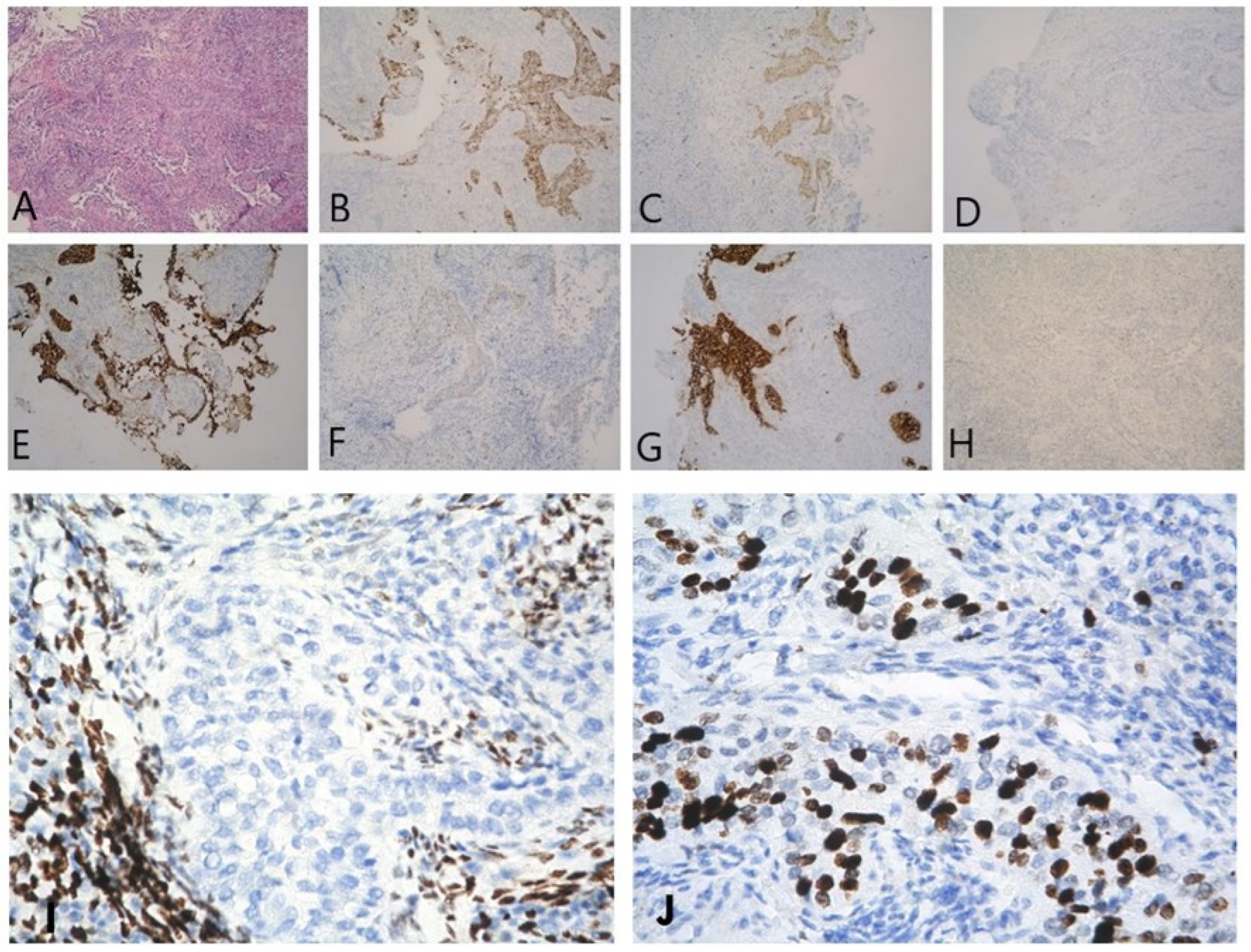 Reports 06 00054 g002