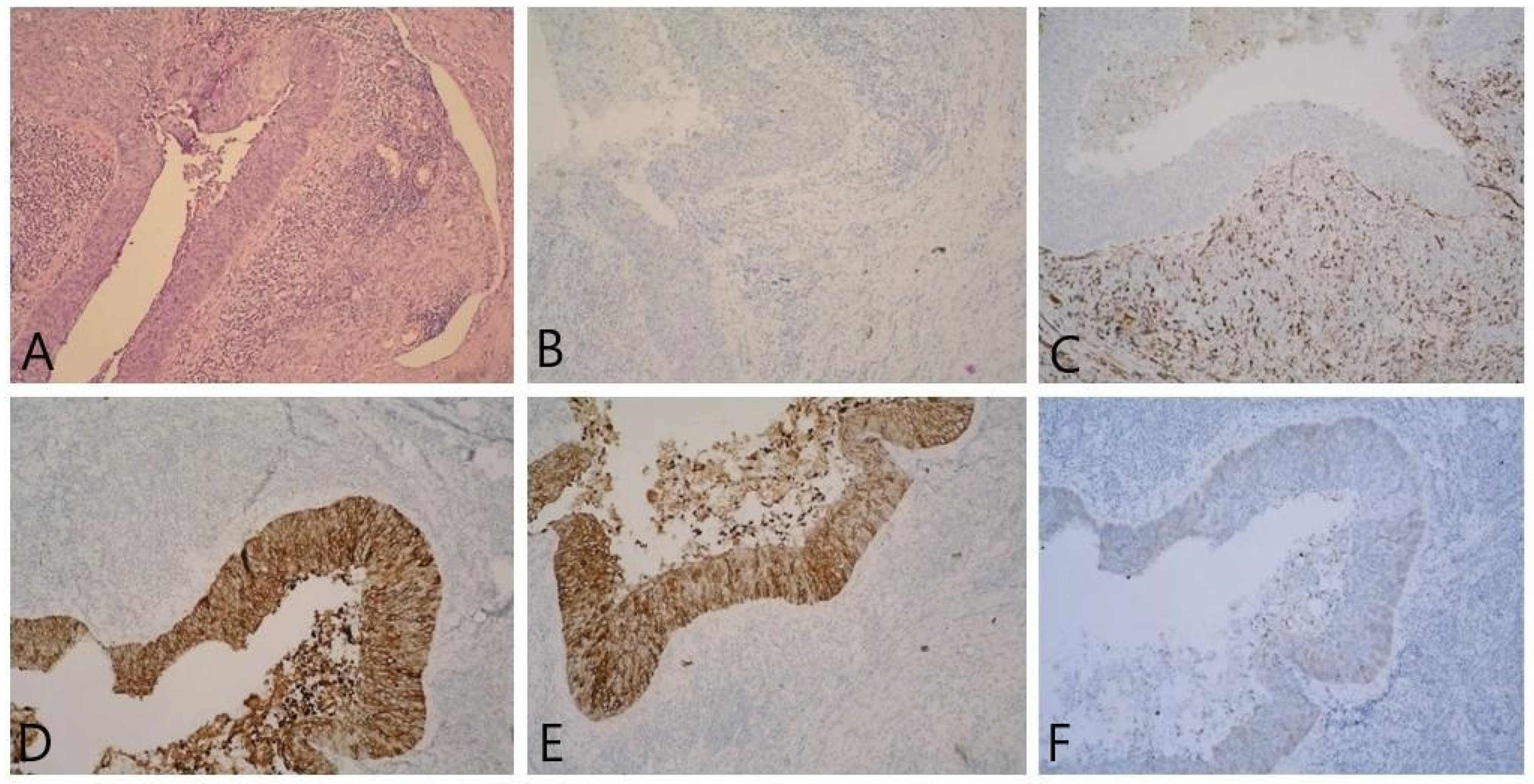 Reports 06 00054 g003