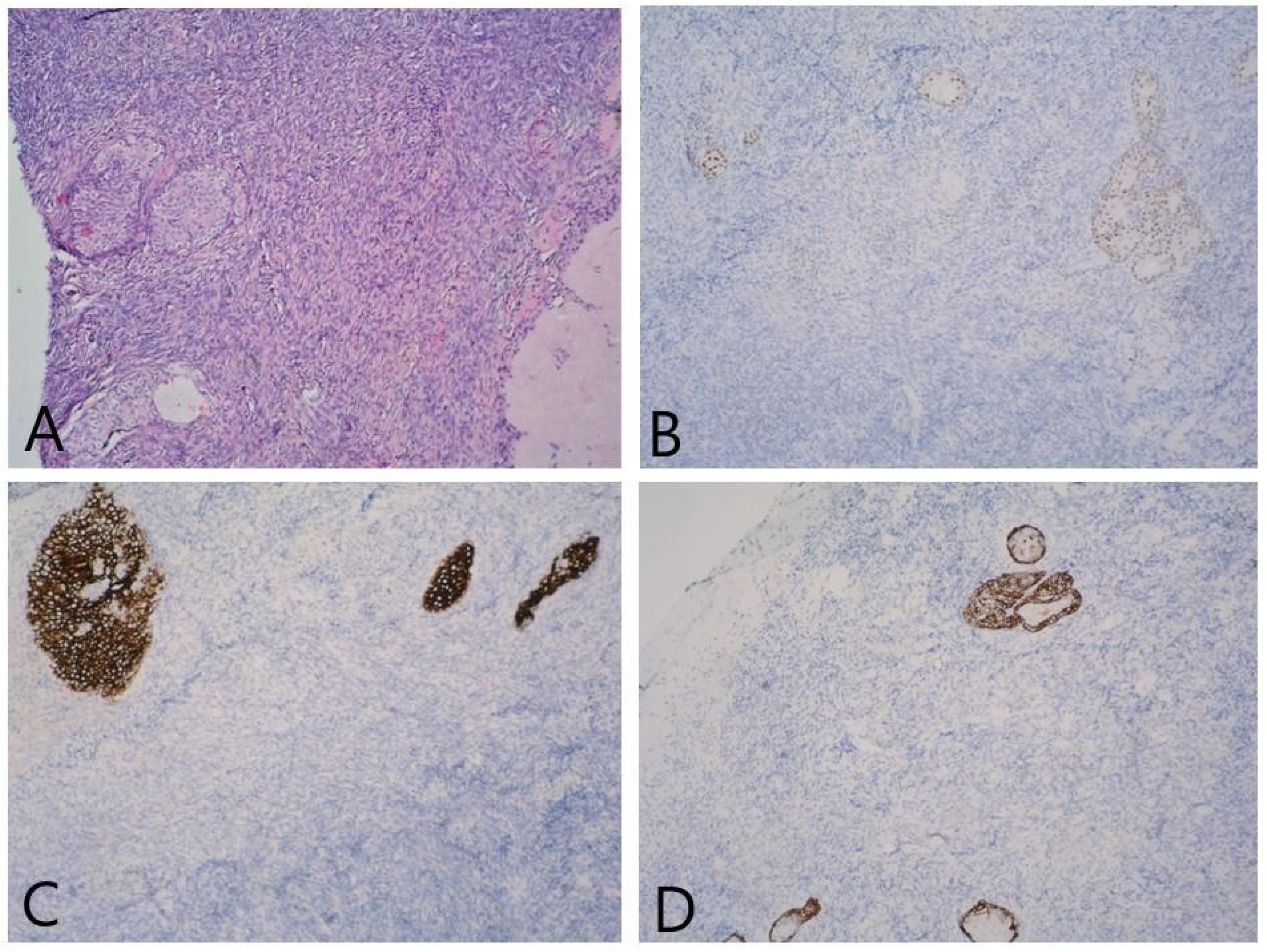 Reports 06 00054 g005