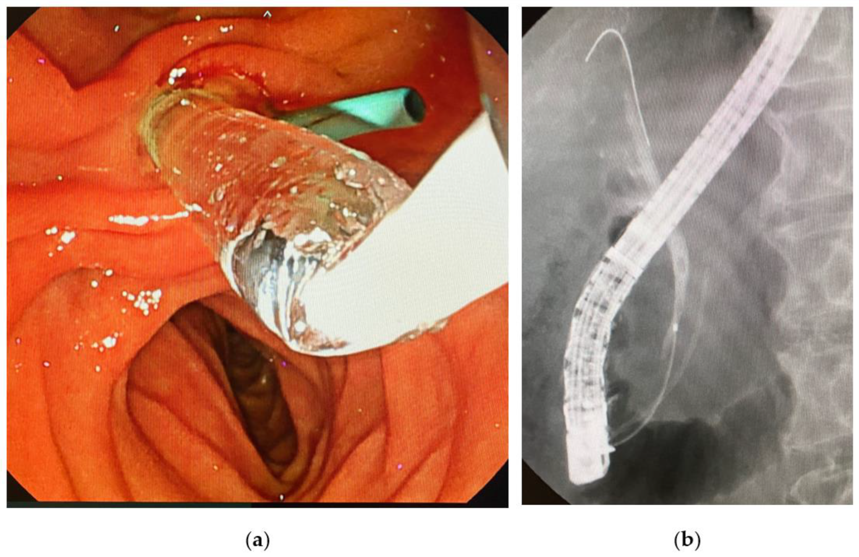 Reports 06 00055 g002