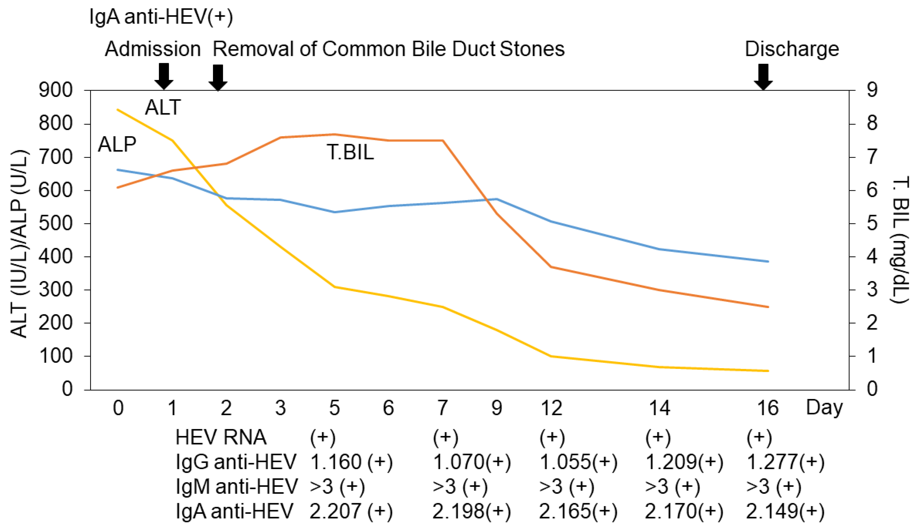 Reports 06 00055 g003