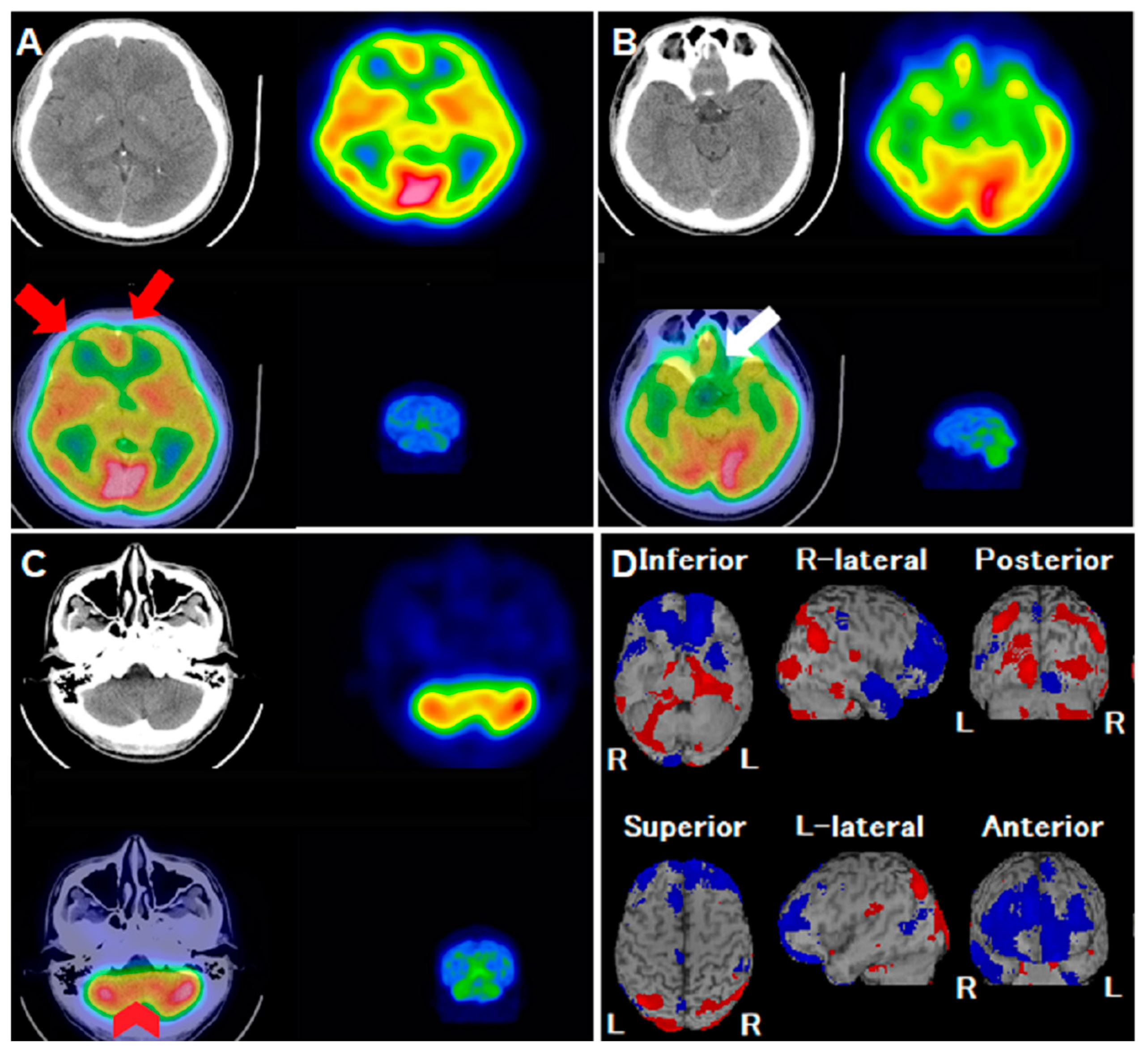 Reports 06 00058 g001 Reports 06 00058 g001