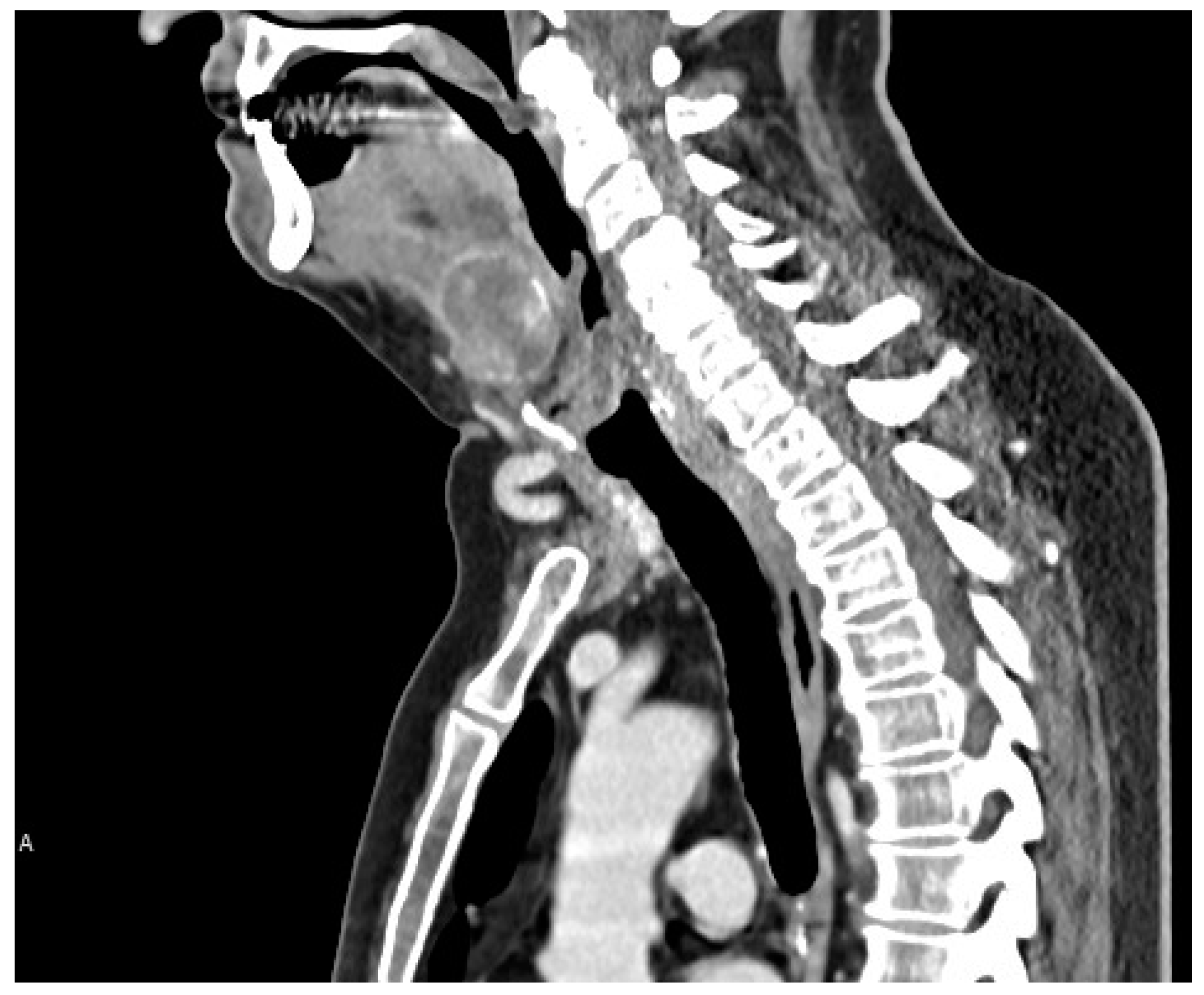 Reports 06 00059 g002