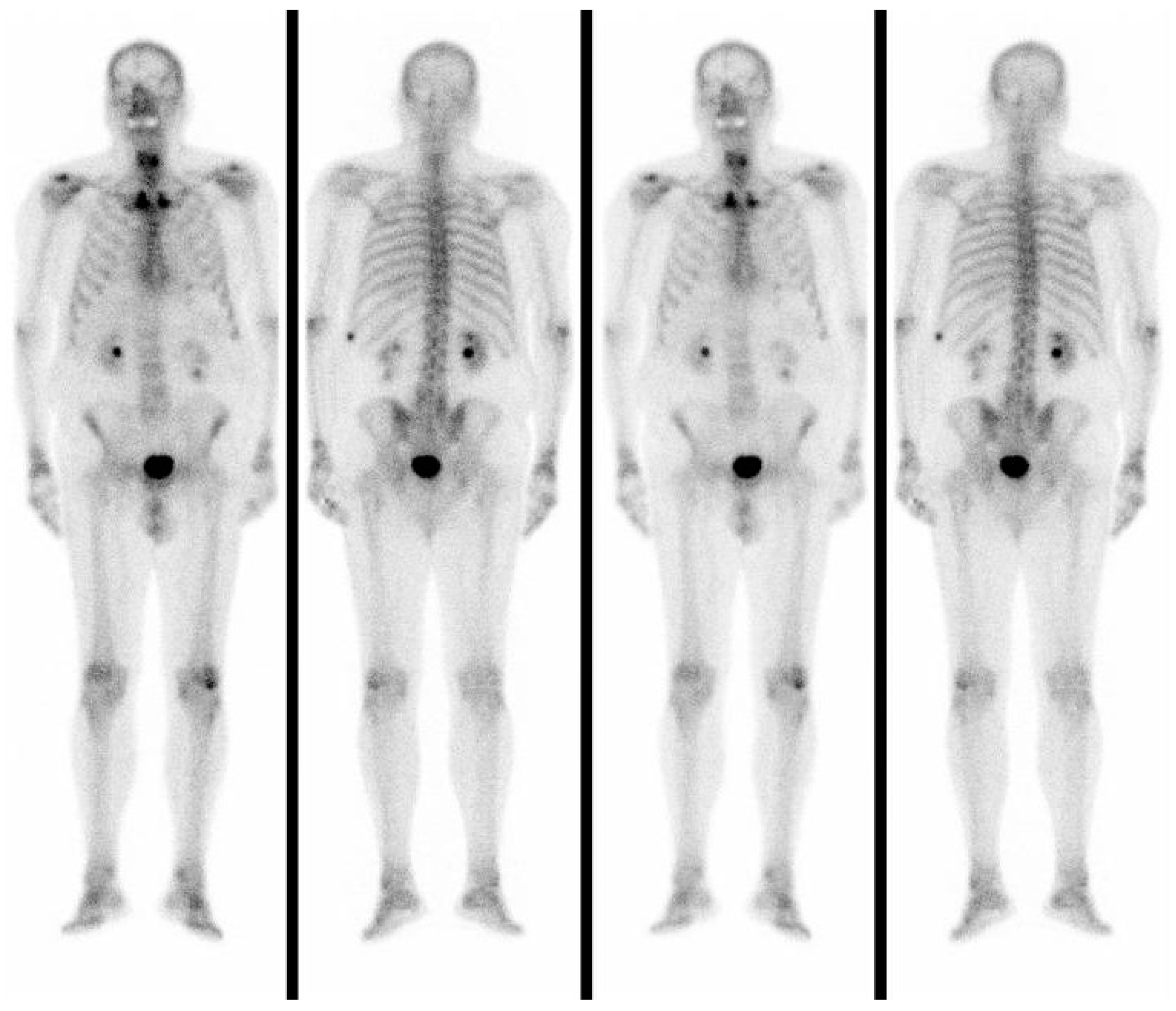 Reports 06 00059 g004