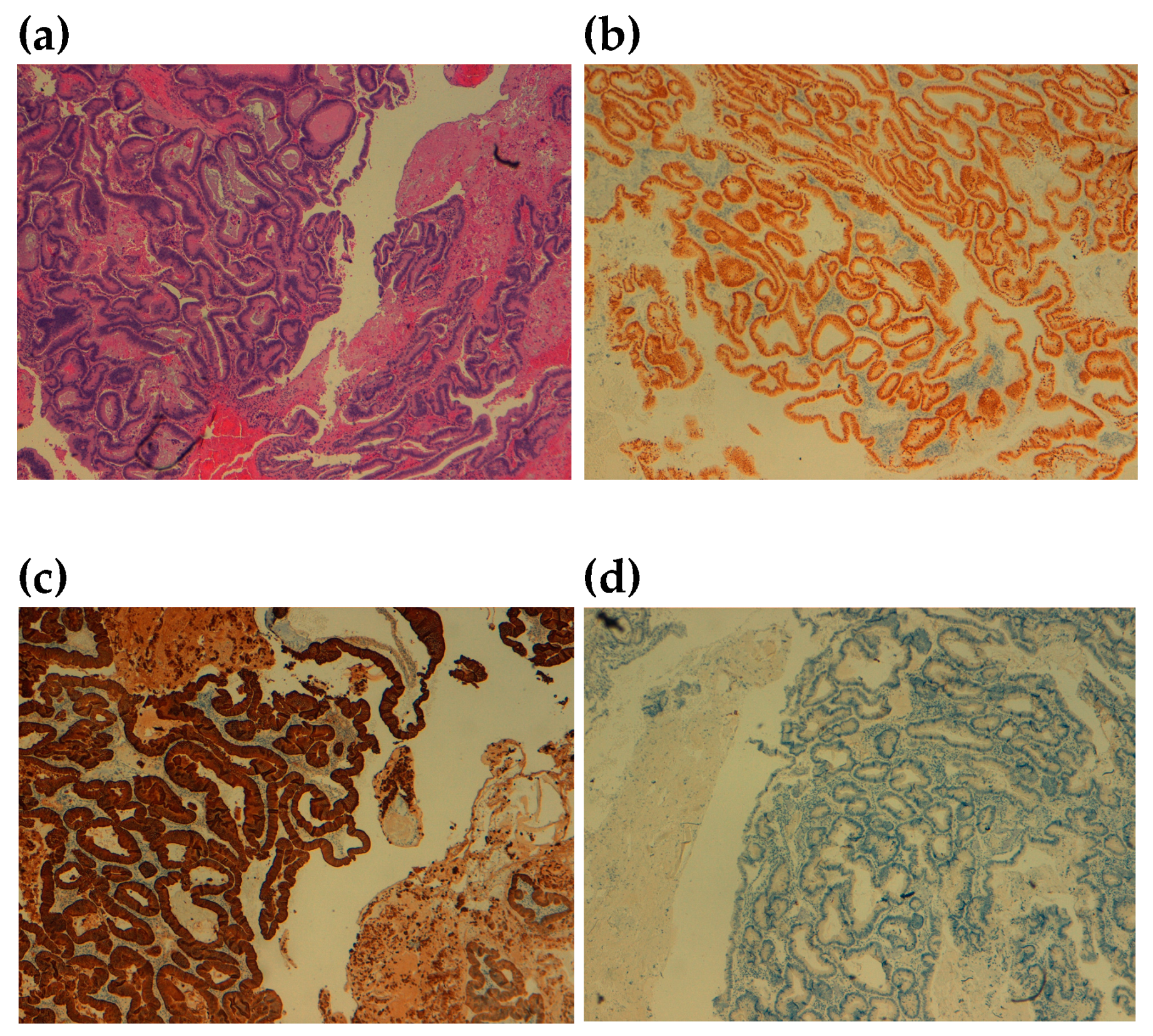 Reports 06 00059 g006