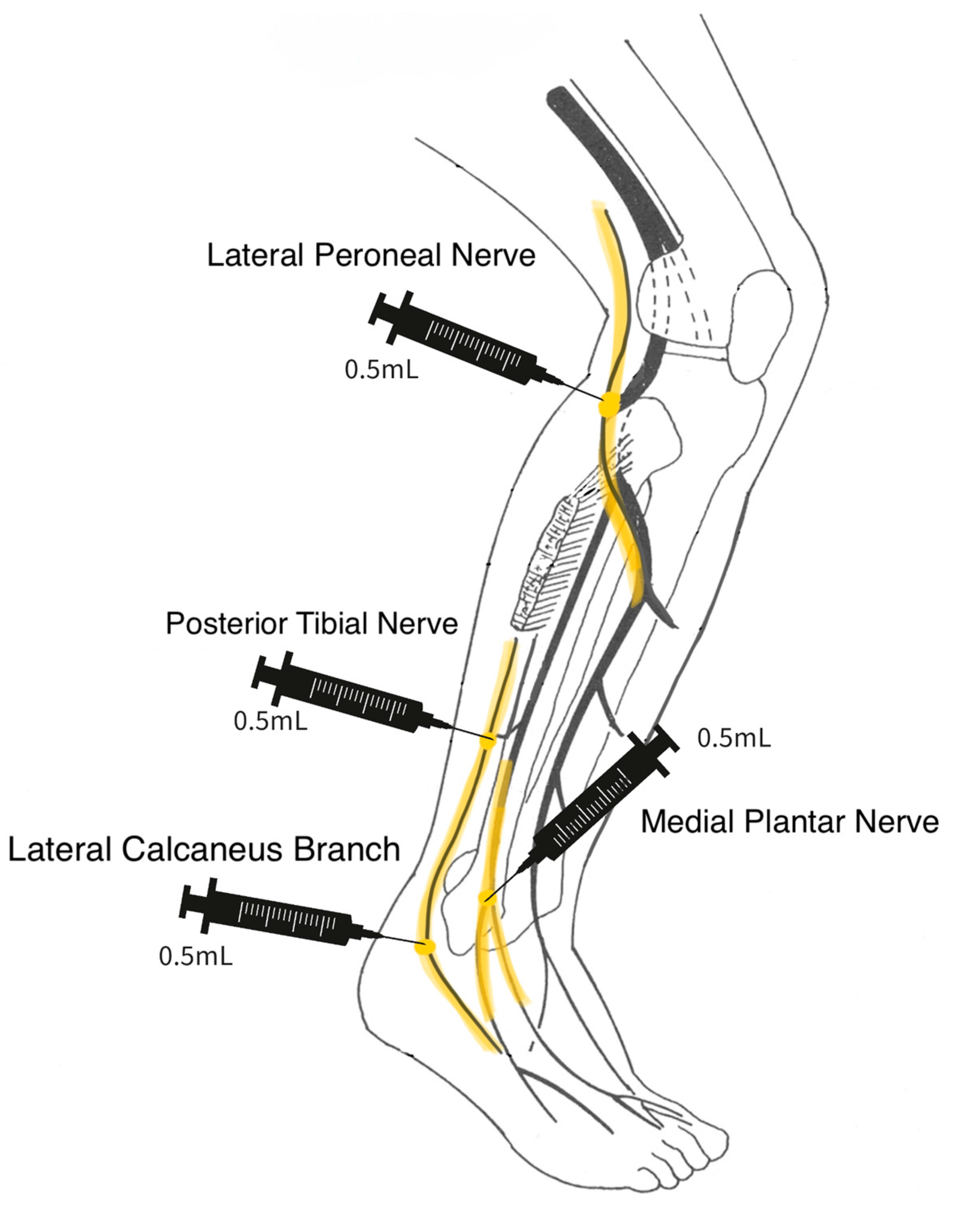 Reports 07 00008 sch001