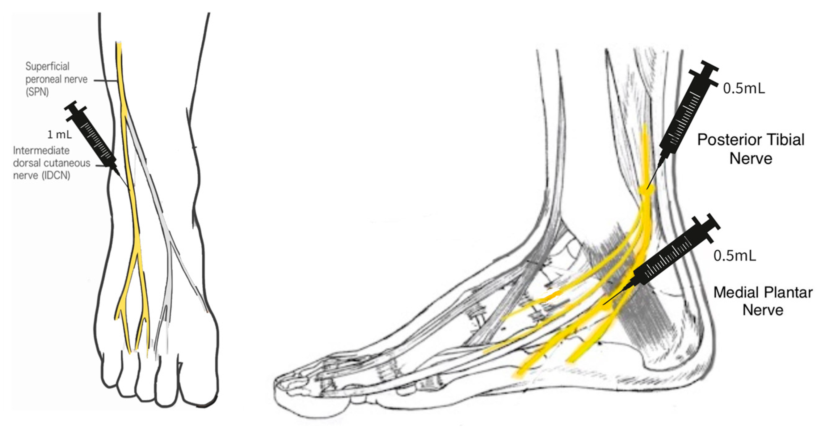 Reports 07 00008 sch002