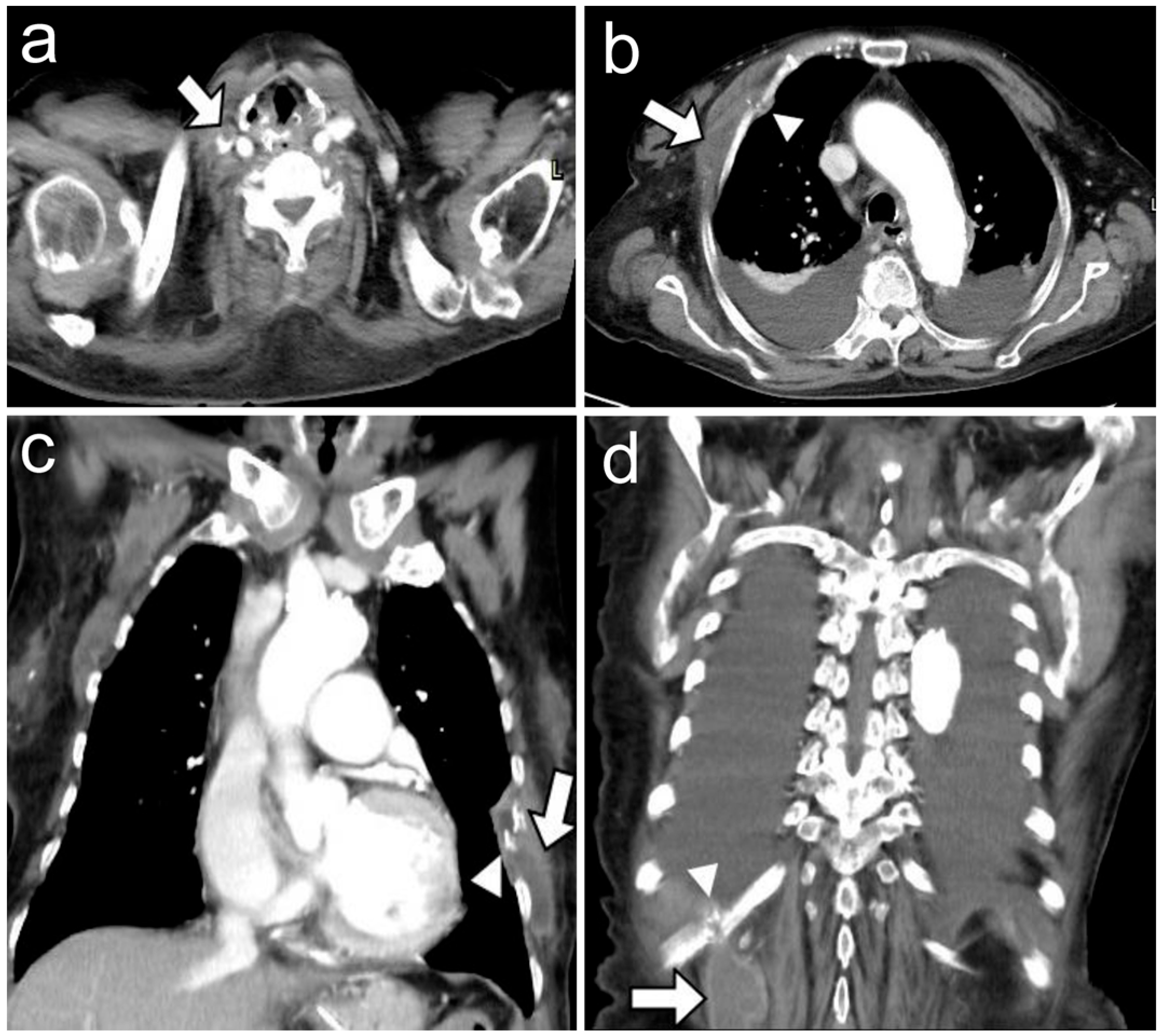 Reports 07 00009 g002