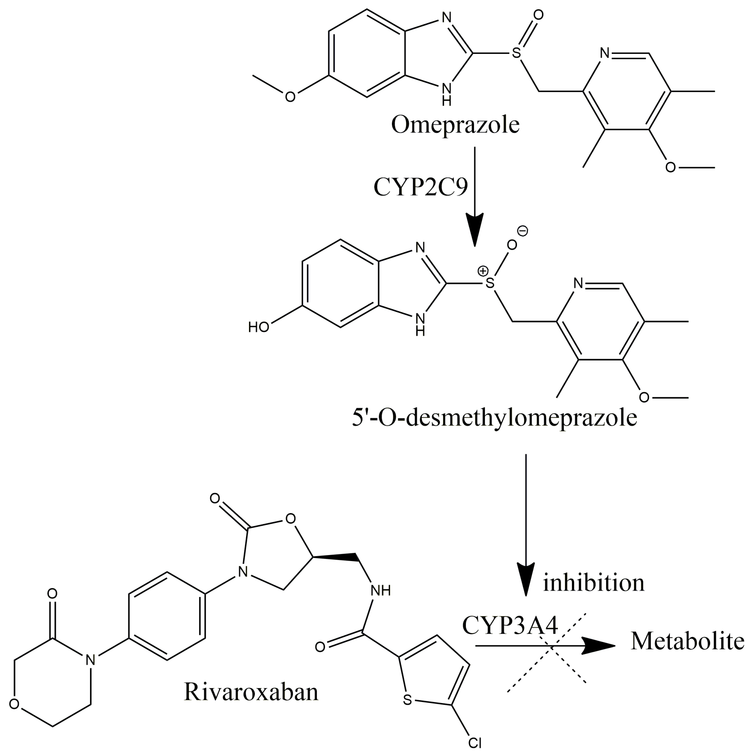 Suspected Hematuria Adverse Effects of Rivaroxaban in Older Adult Treated for Atrial Fibrillation