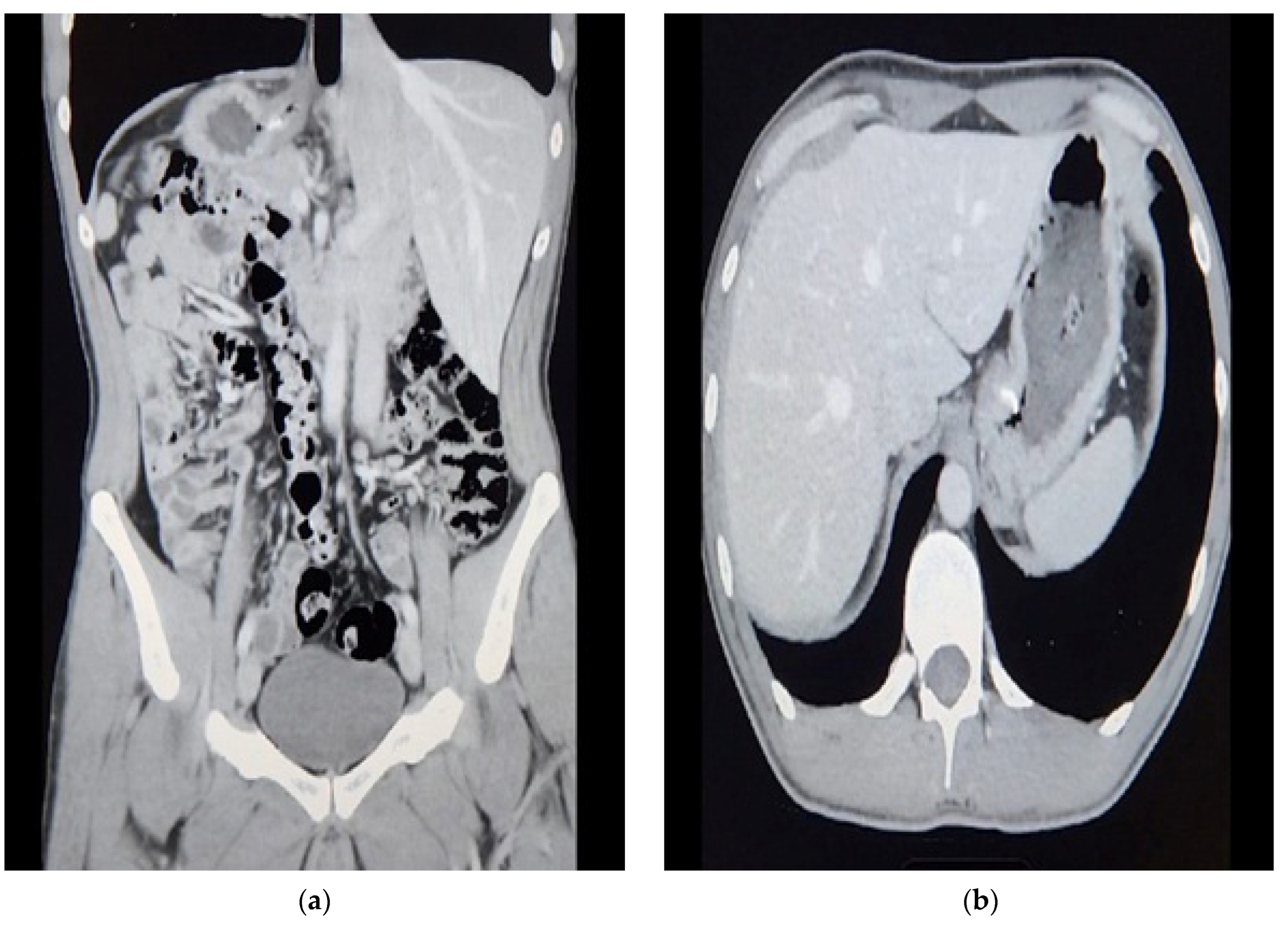 Reports 07 00012 g001