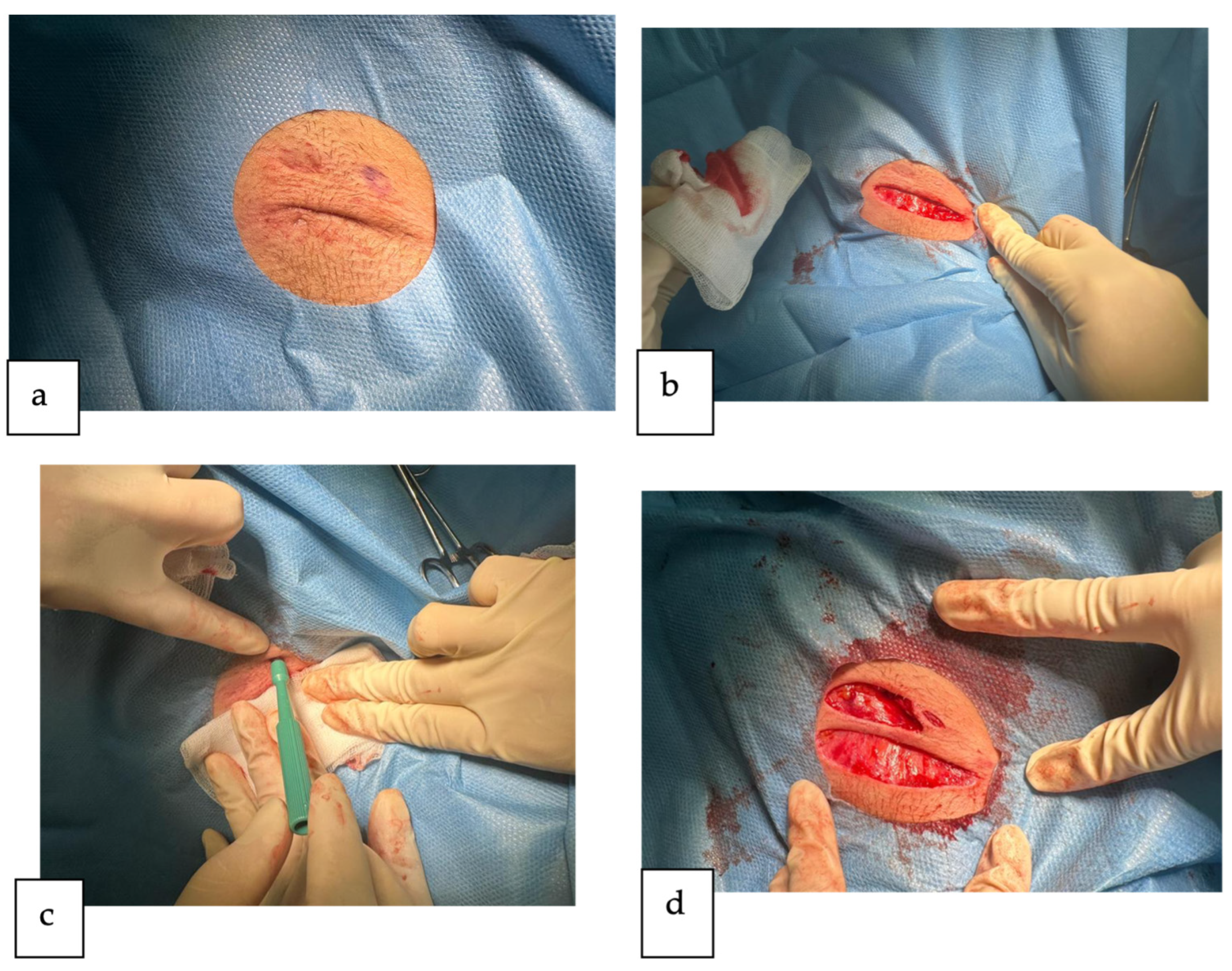 Reports 07 00013 g002