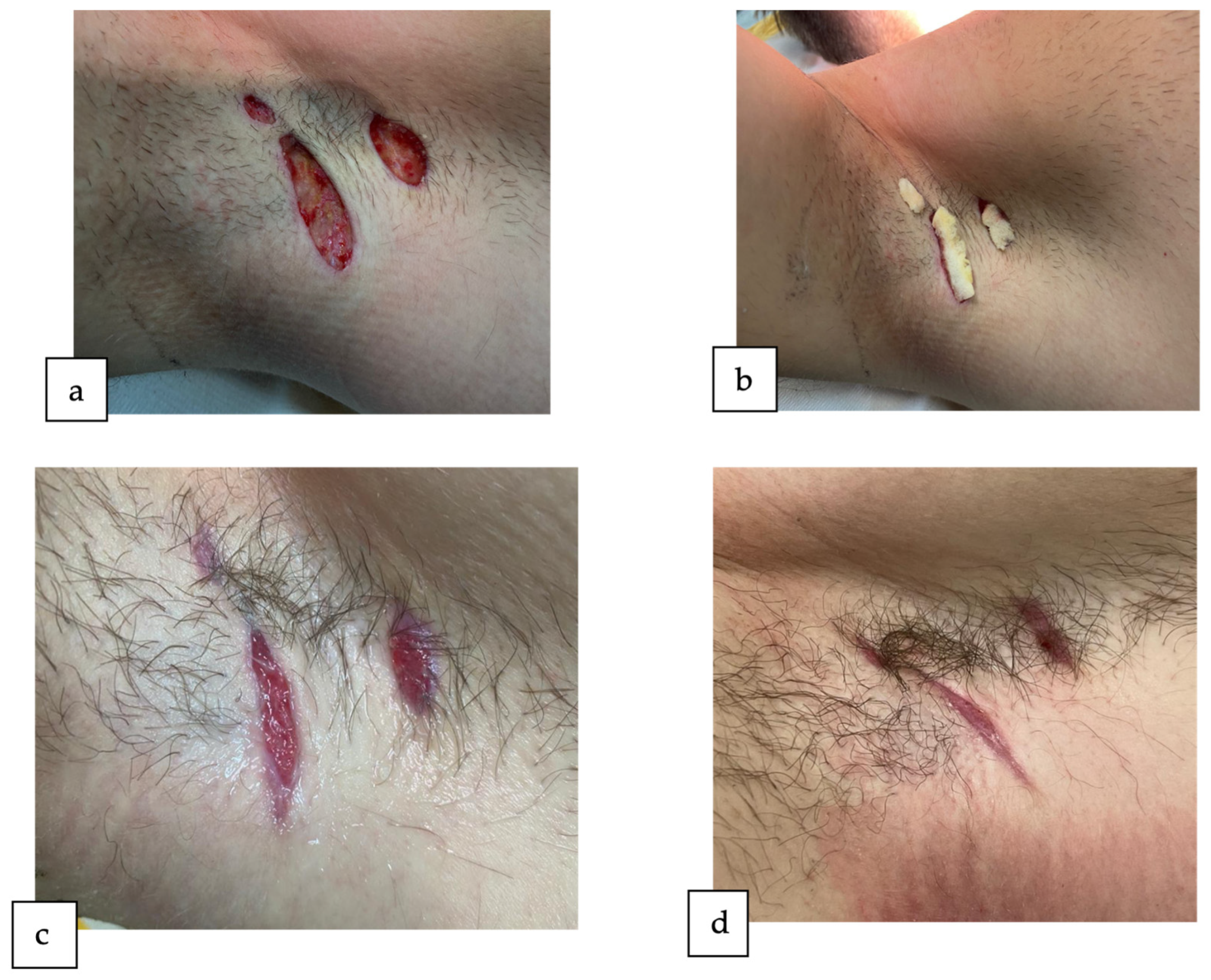 Reports 07 00013 g004