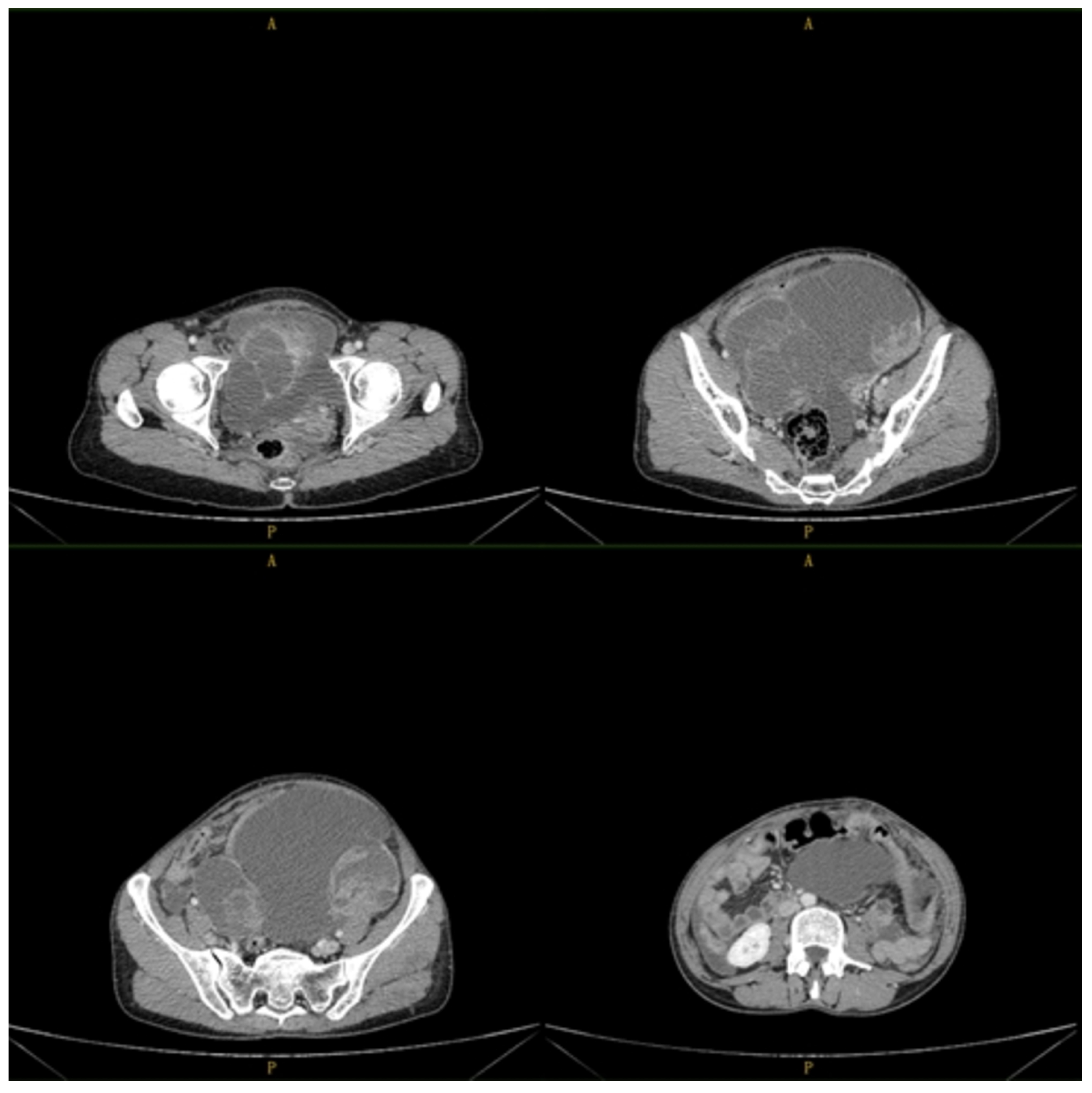 Reports 07 00014 g001