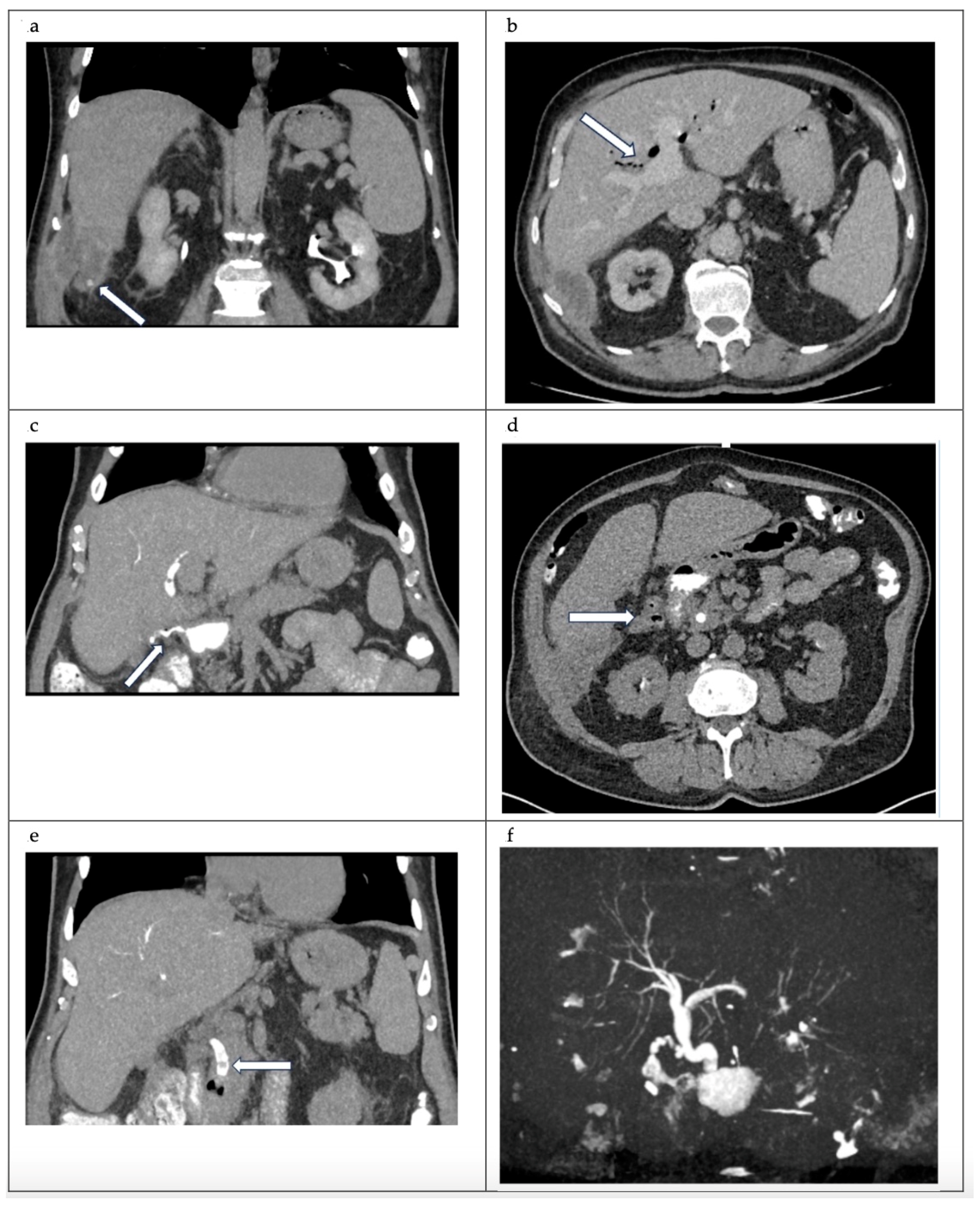 Reports 07 00016 g001