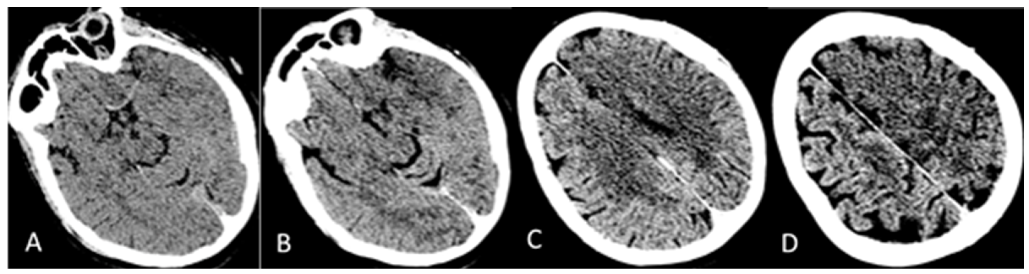 Reports 07 00017 g001