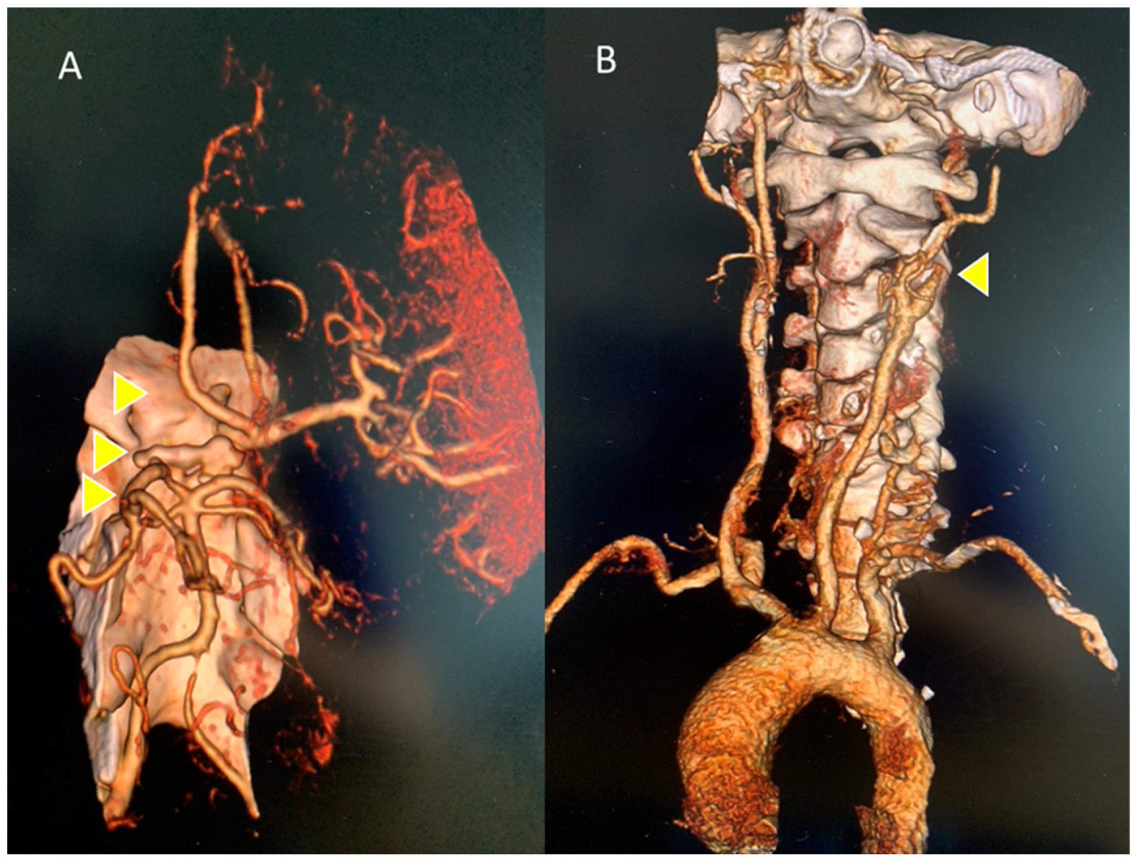 Reports 07 00017 g002