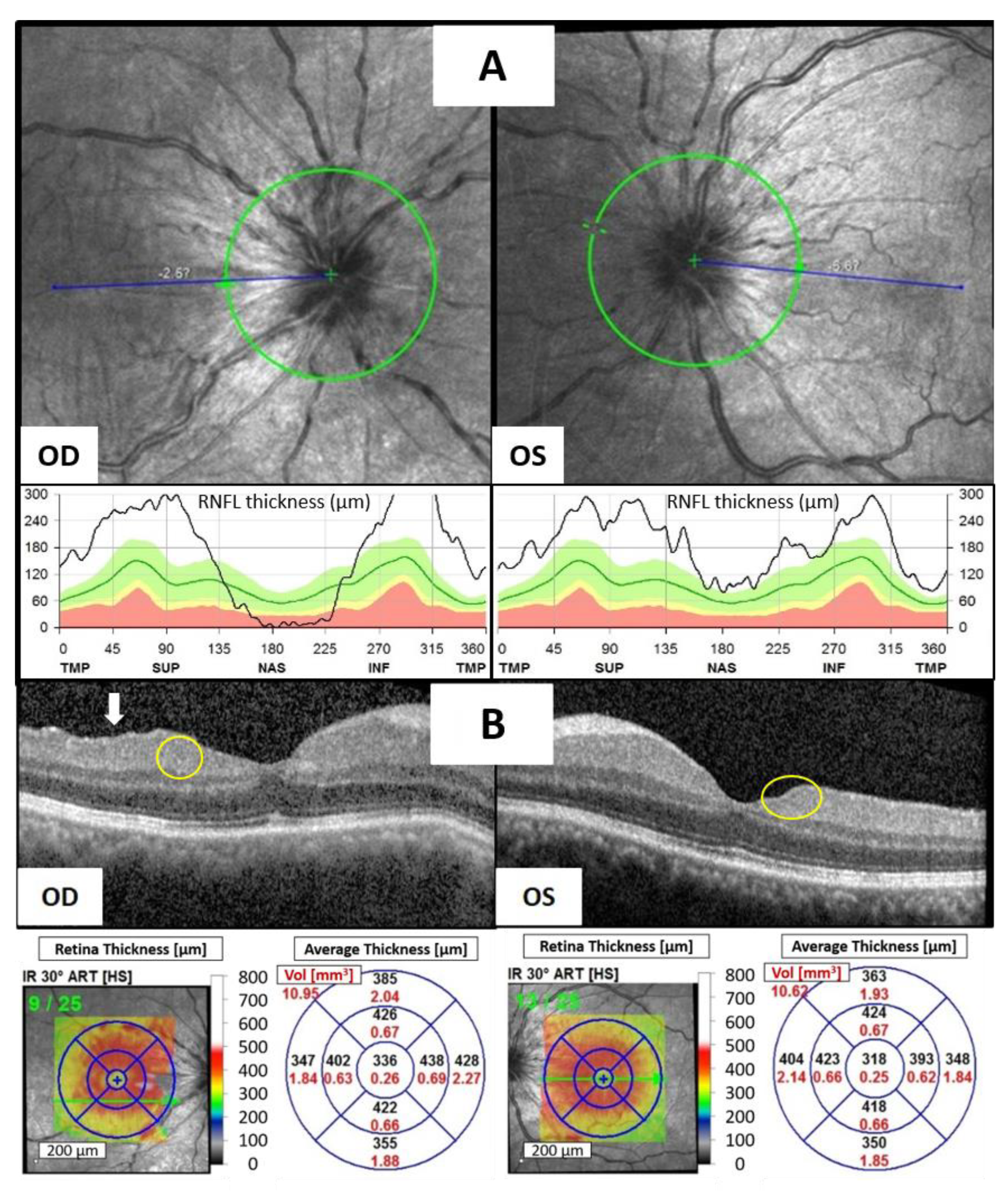 Reports 07 00019 g001a