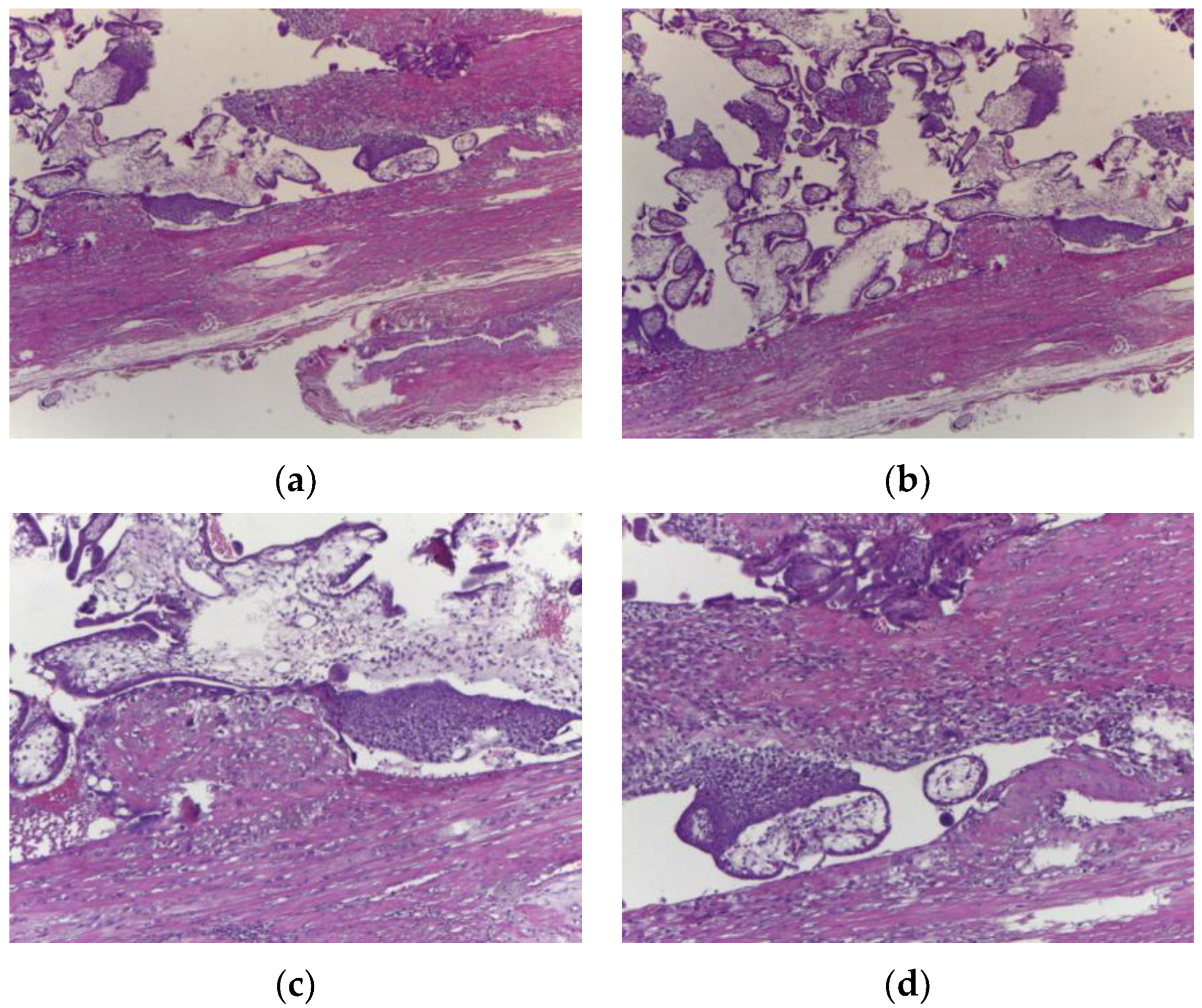 Reports 07 00021 g006