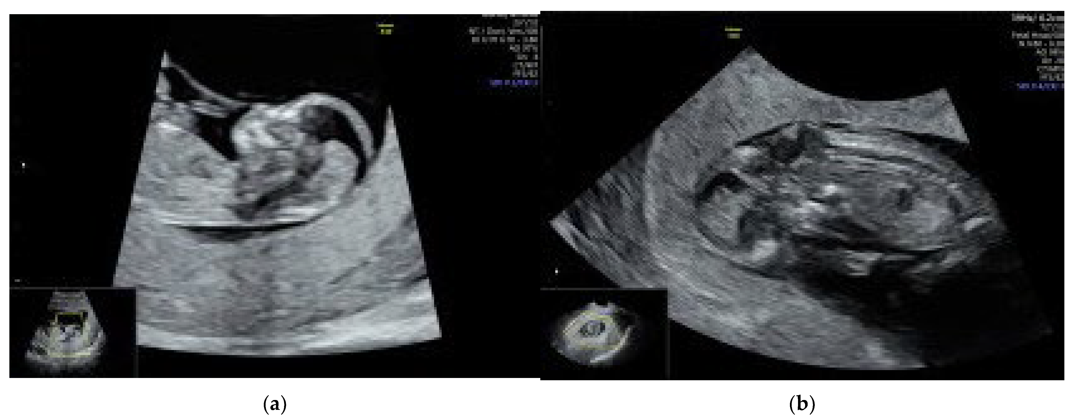 Reports 07 00024 g001