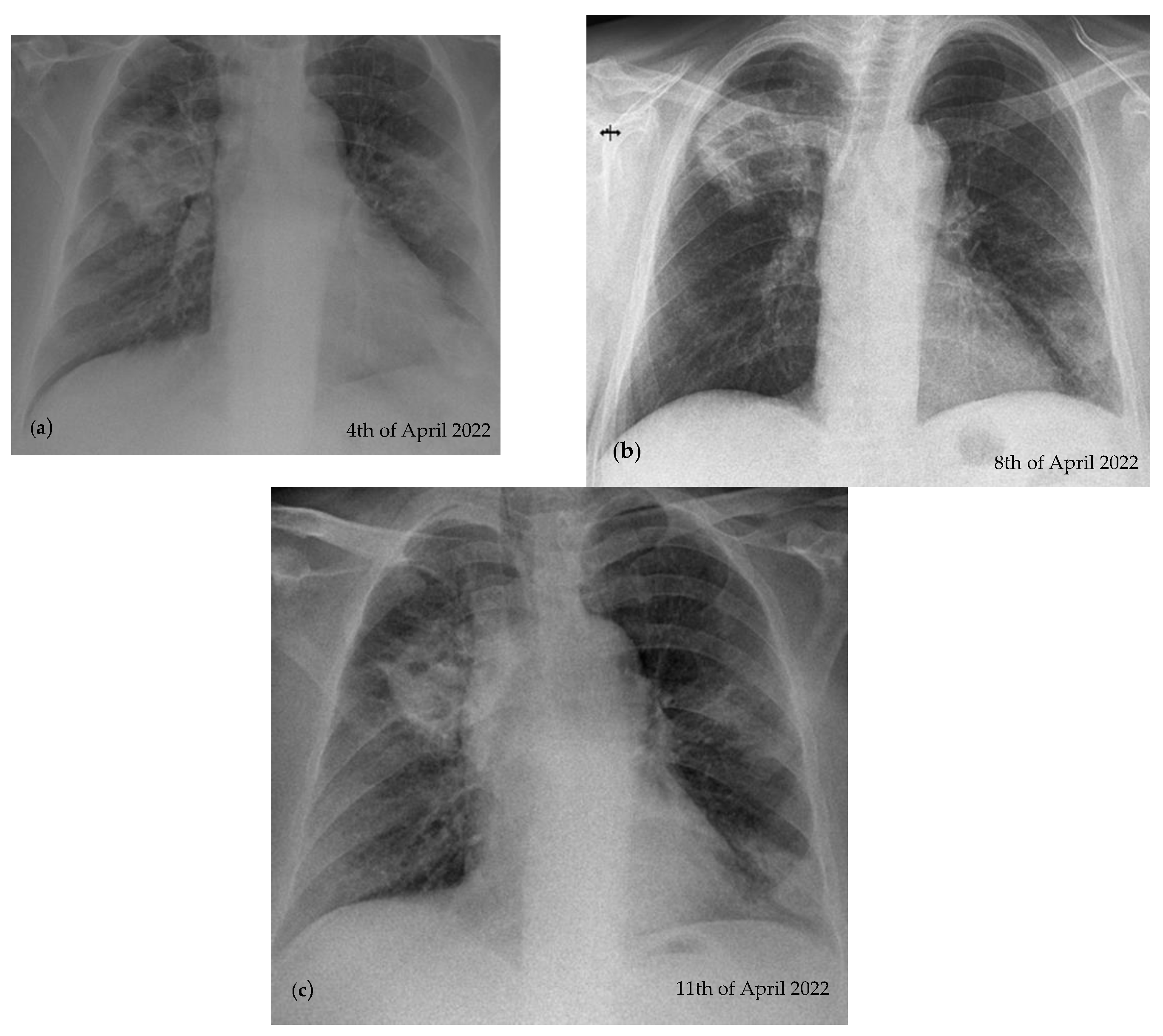 Reports 07 00025 g002