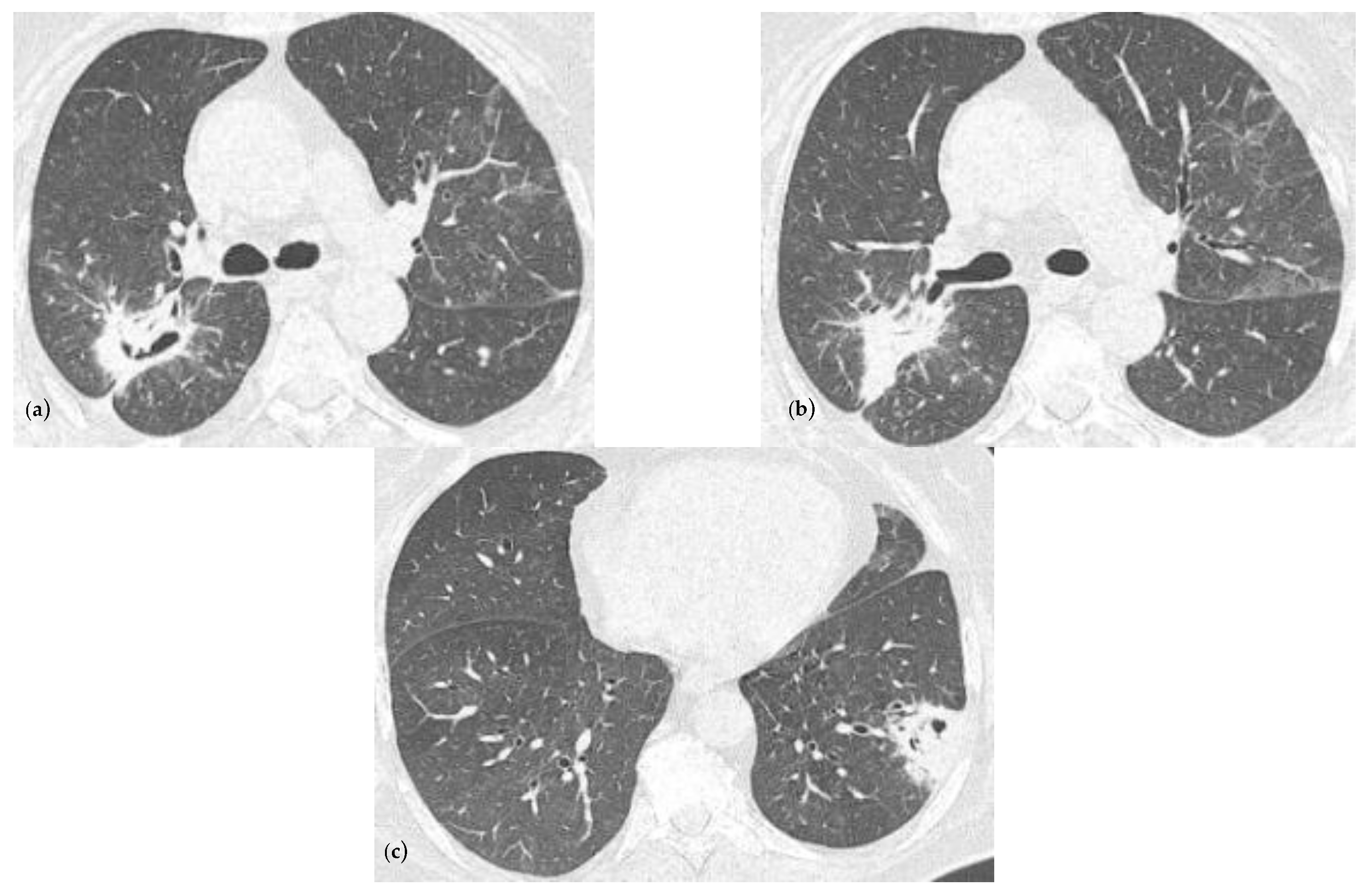 Reports 07 00025 g003