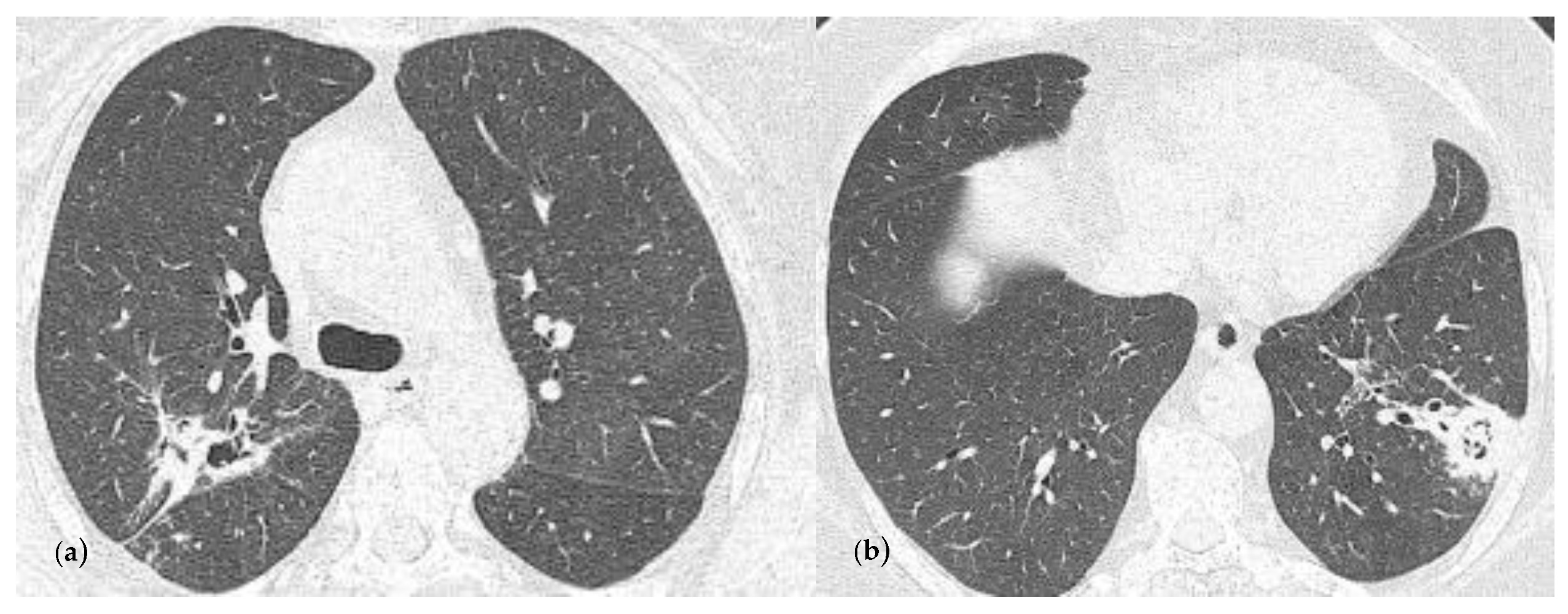 Reports 07 00025 g004