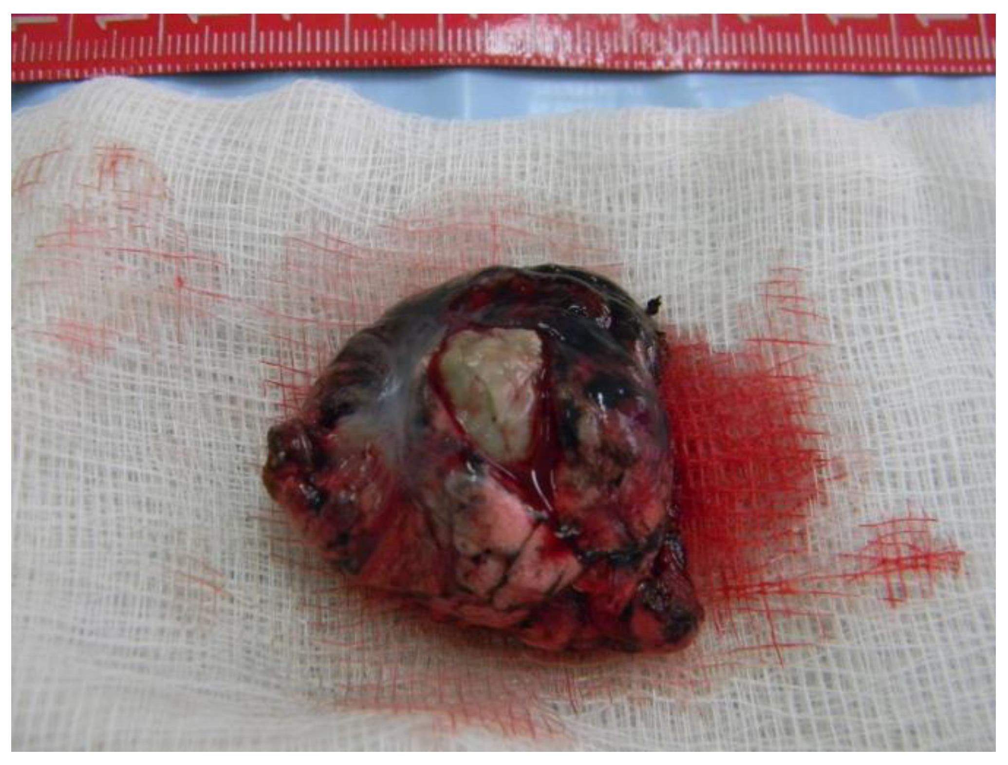 Reports 07 00025 g006