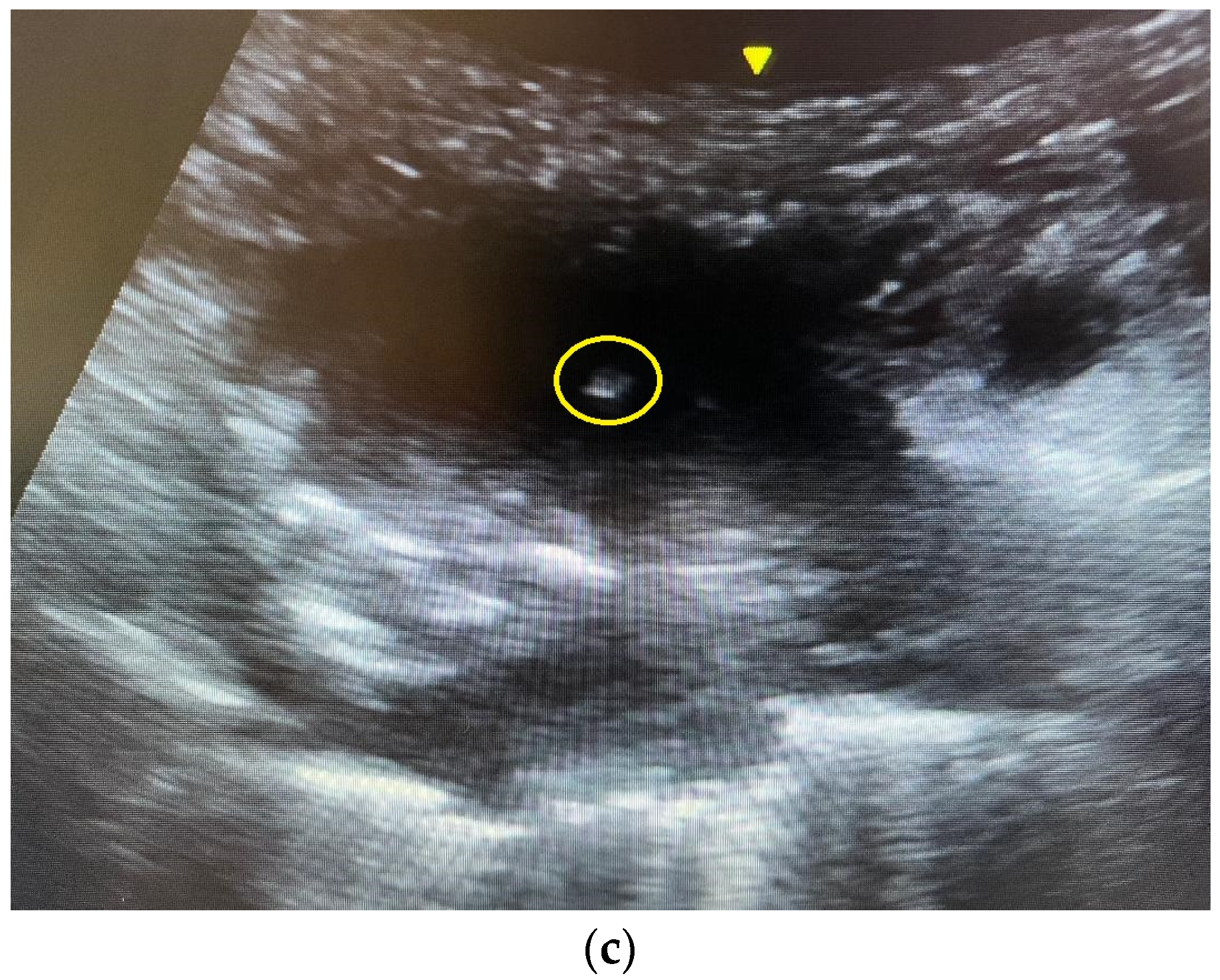 Reports 07 00026 g001b