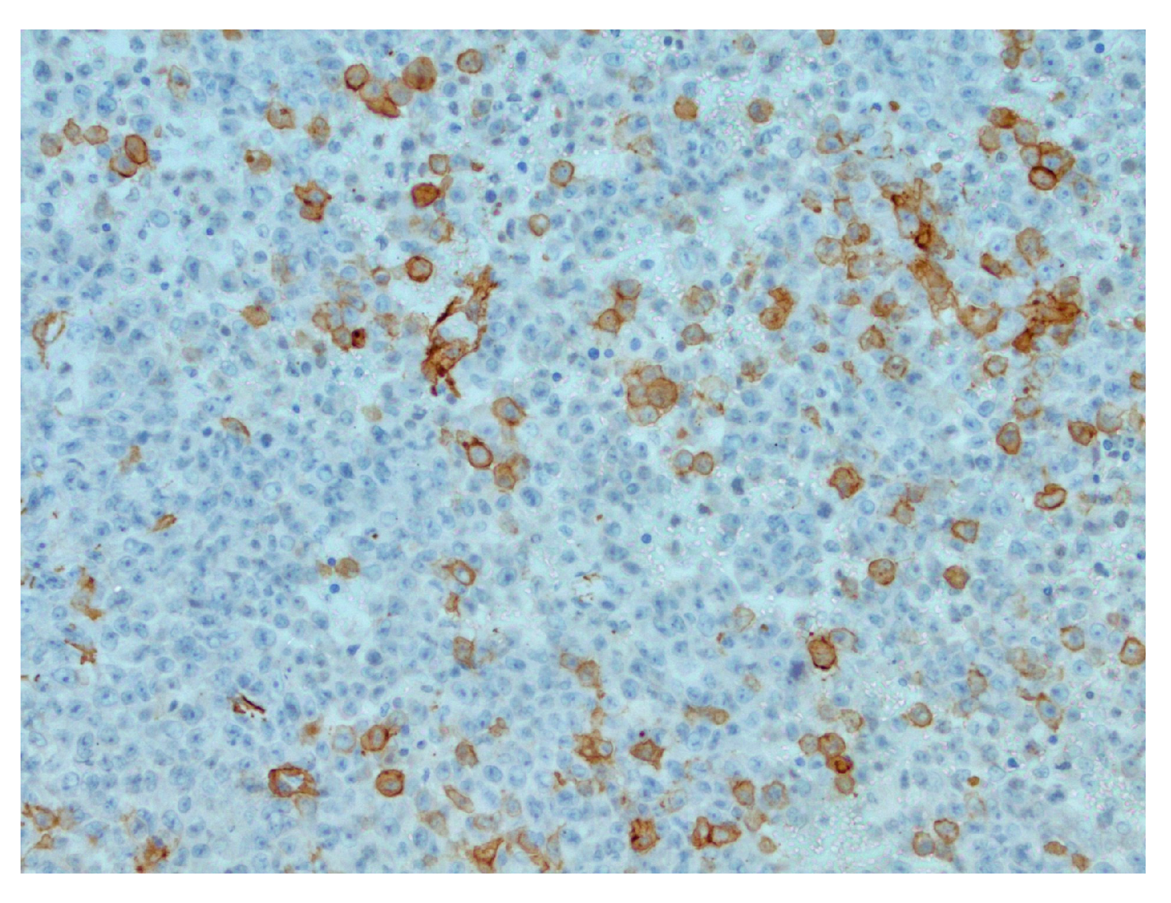 Reports 07 00028 g003