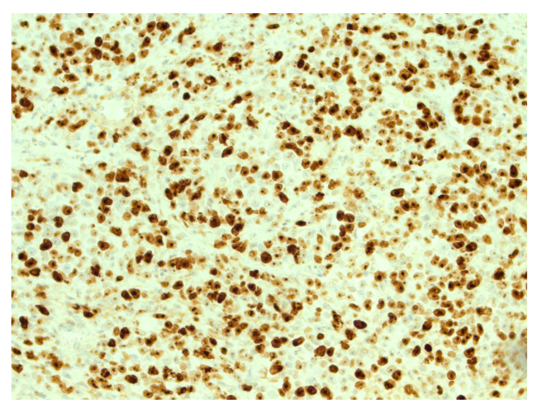 Reports 07 00028 g005