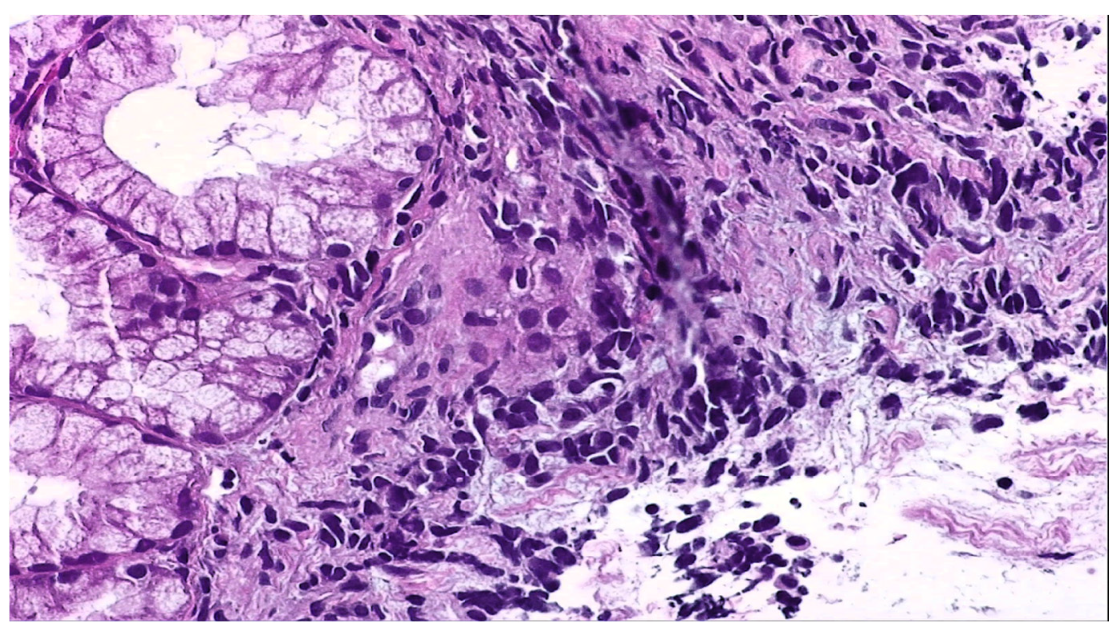 Reports 07 00030 g004