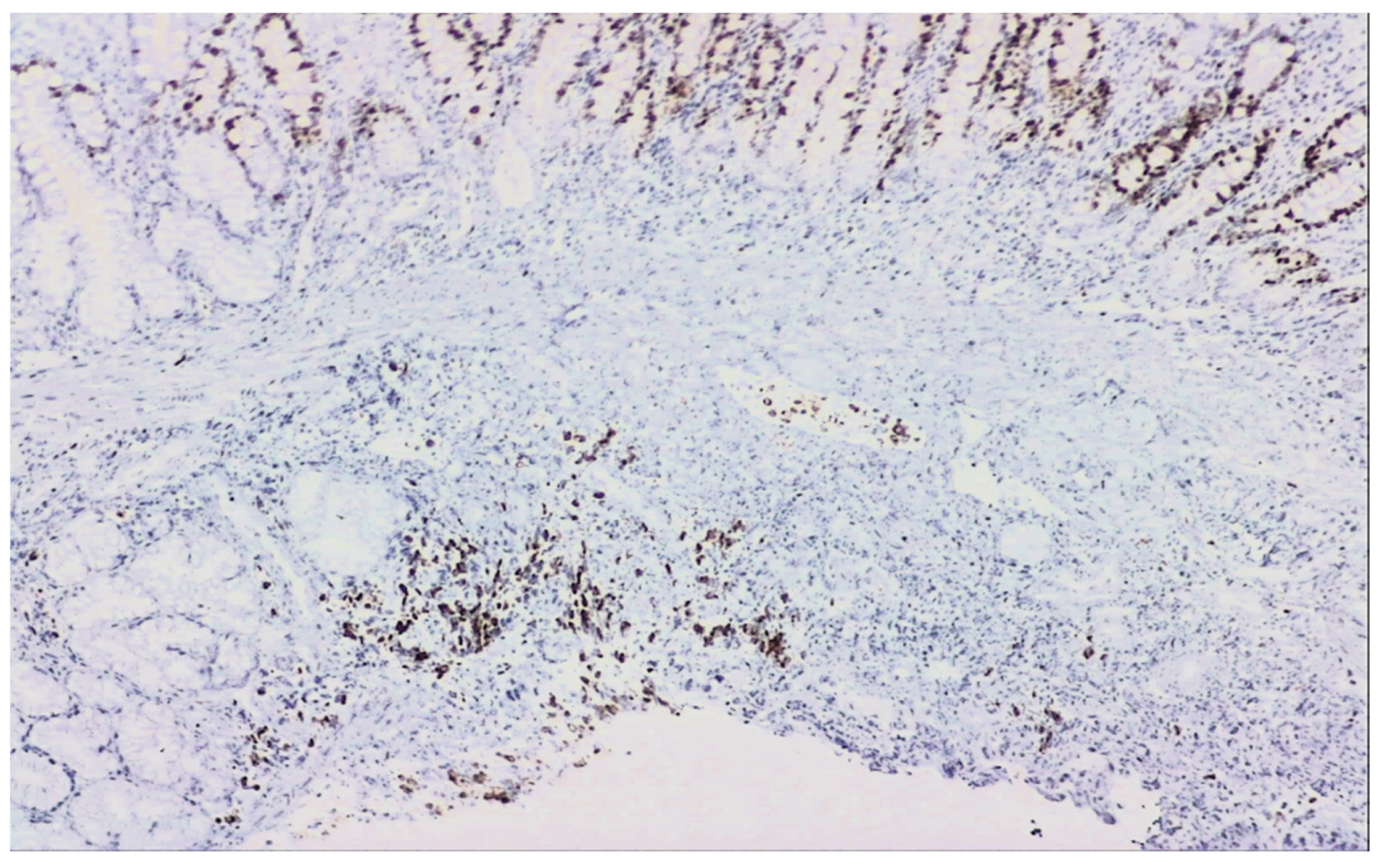 Reports 07 00030 g005