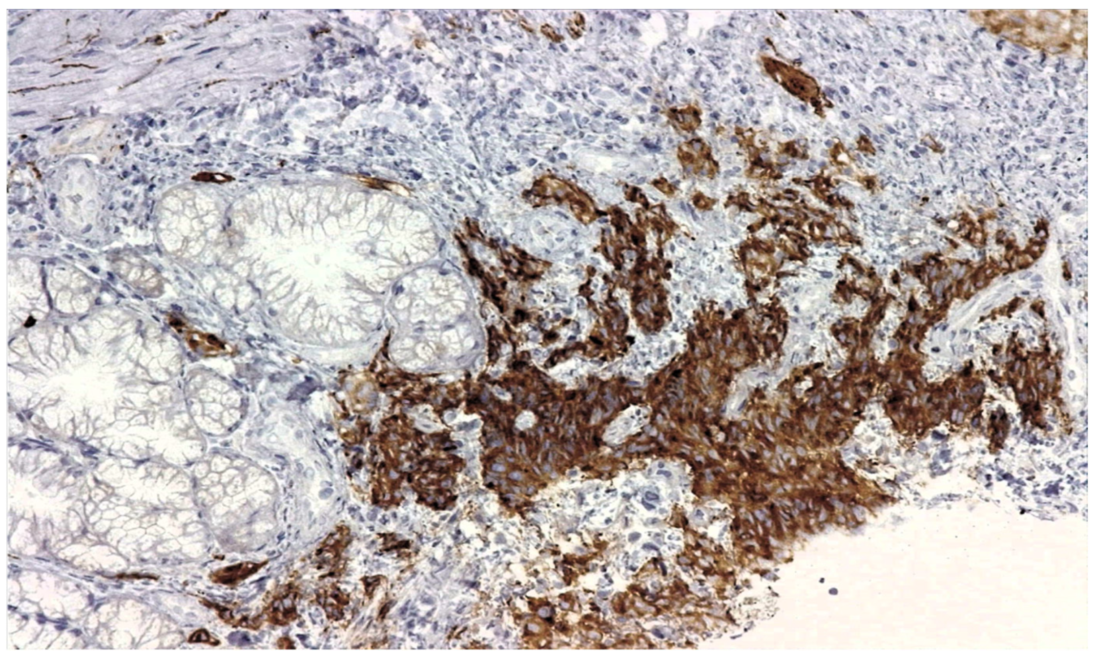 Reports 07 00030 g006