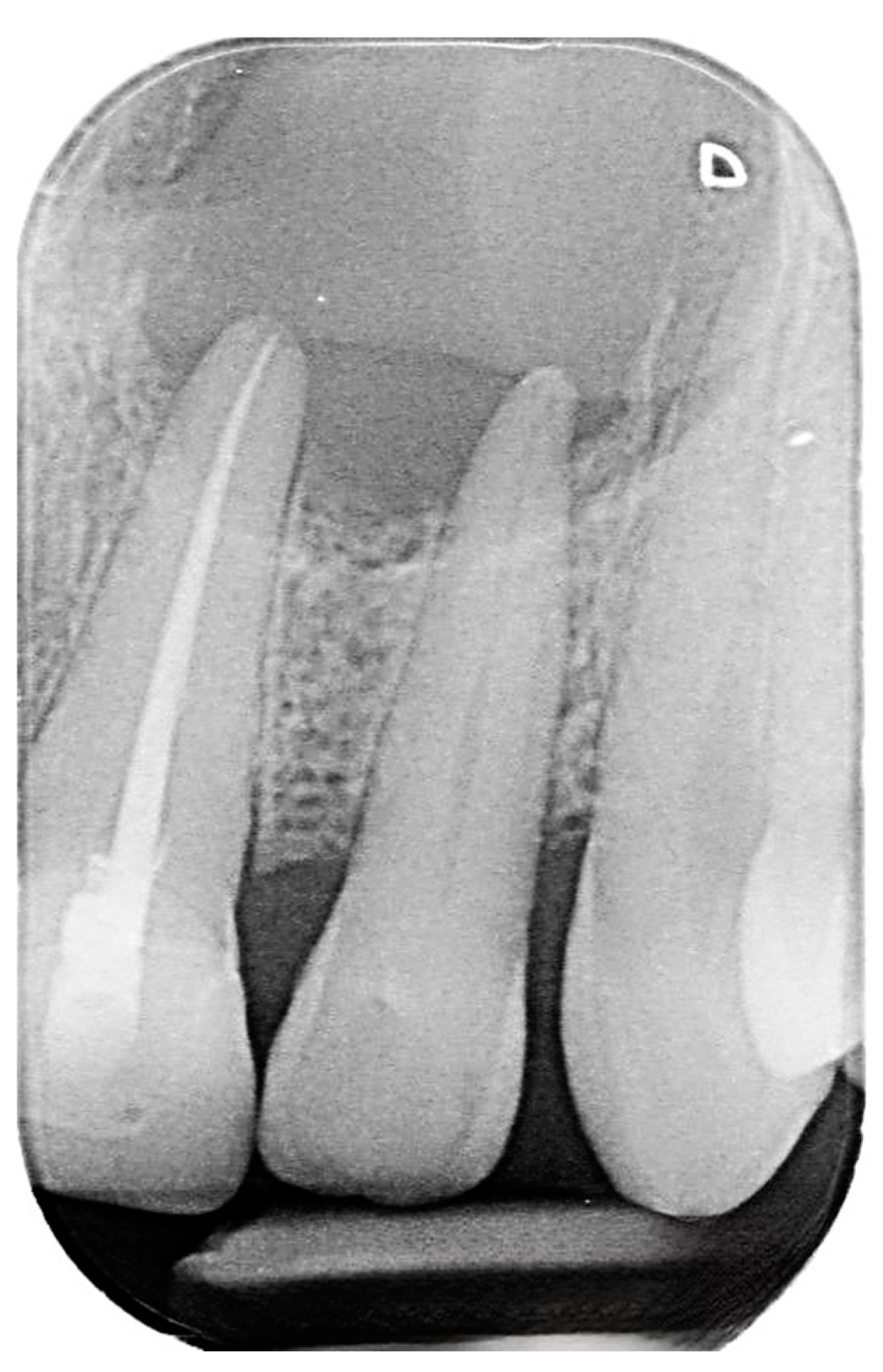 Reports 07 00032 g002