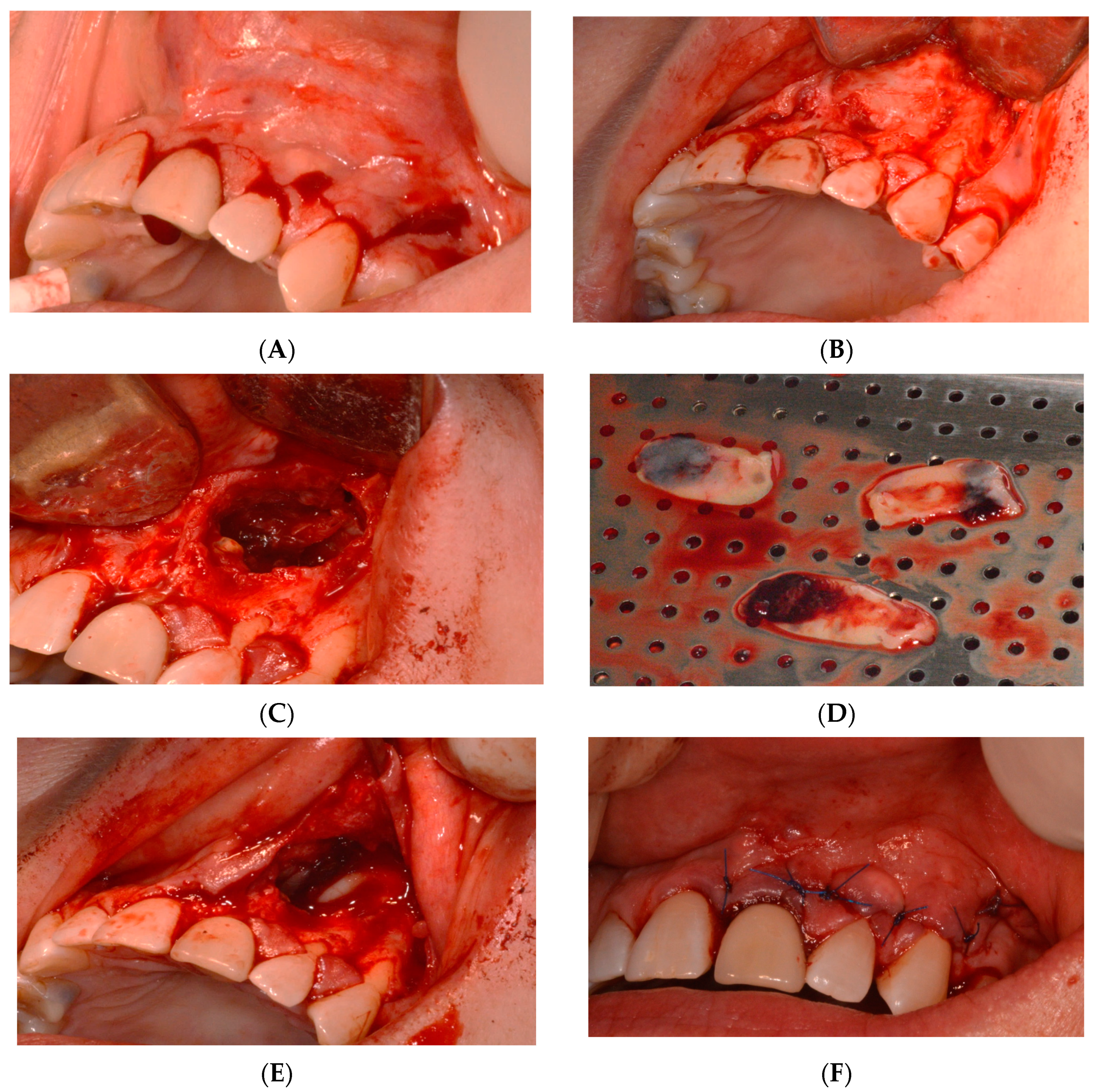 Reports 07 00032 g004