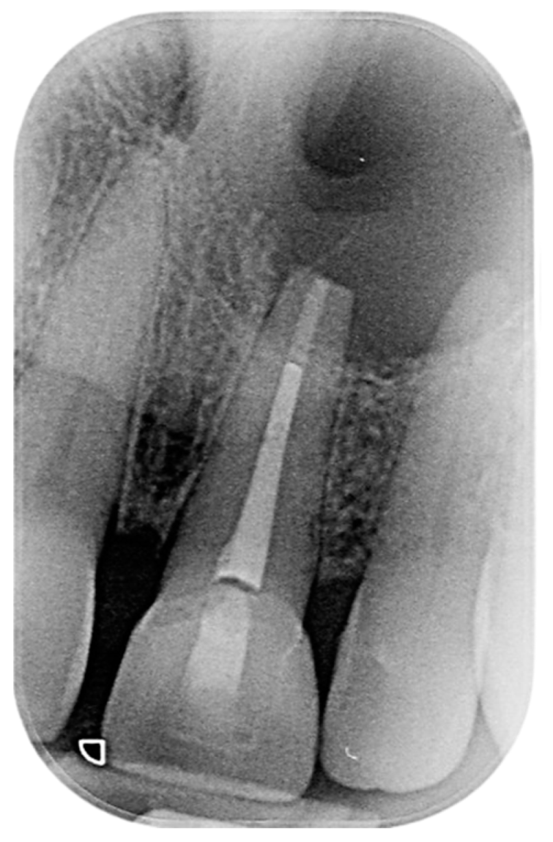 Reports 07 00032 g005