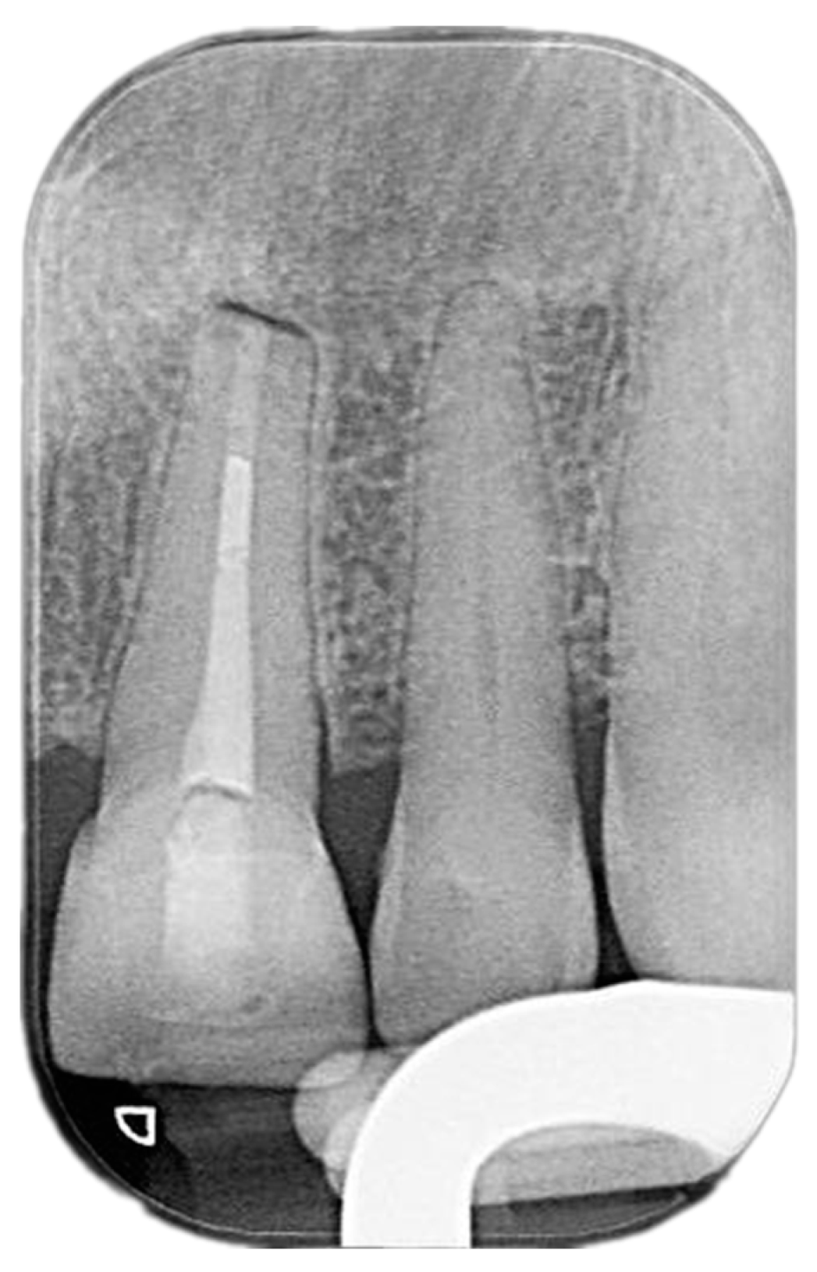 Reports 07 00032 g008