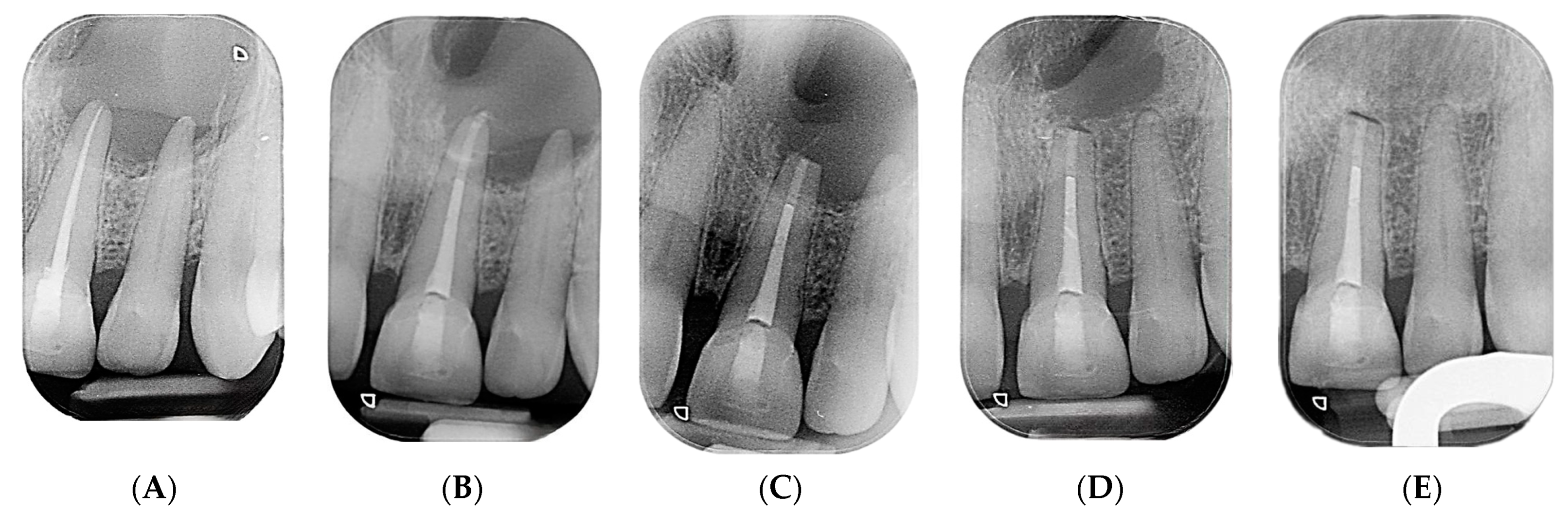 Reports 07 00032 g009