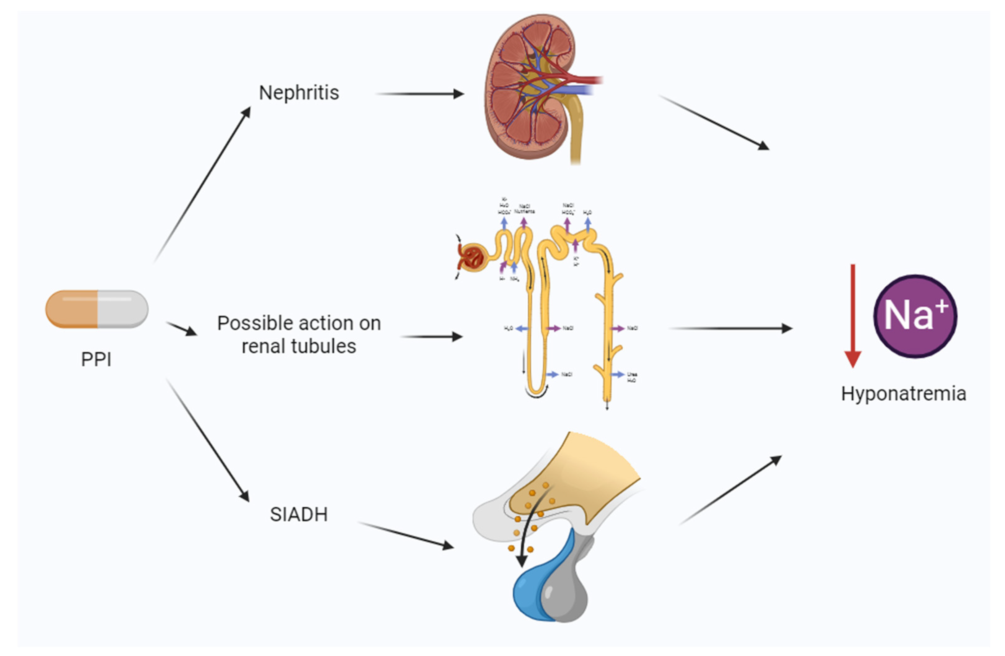 Reports 07 00033 g002