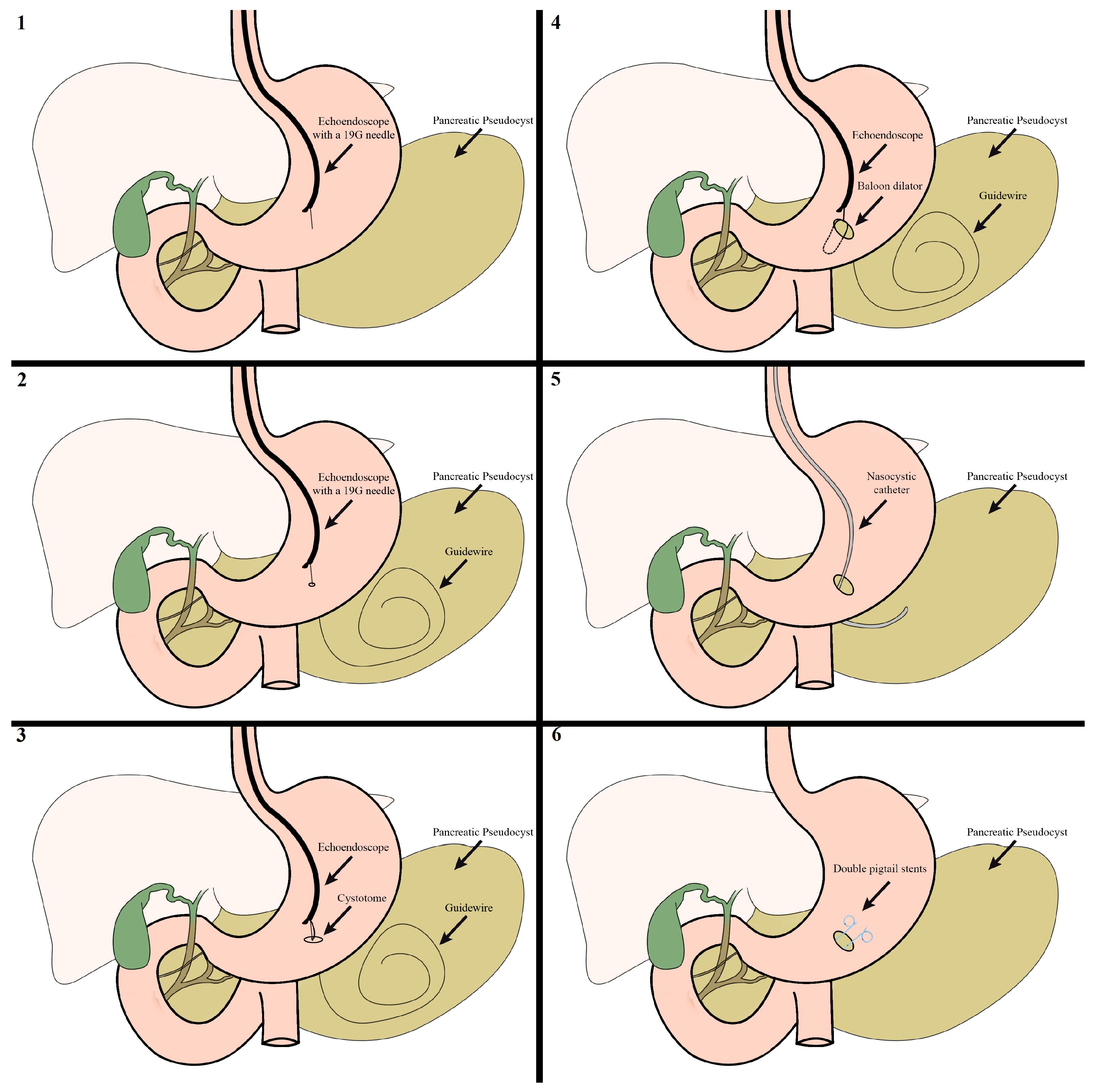 Reports 07 00038 g001