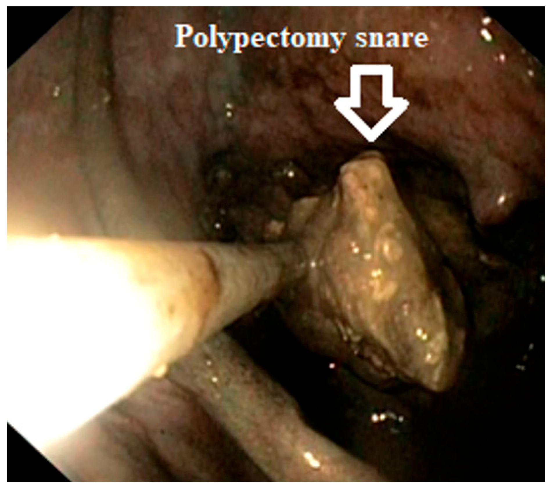 Reports 07 00038 g003