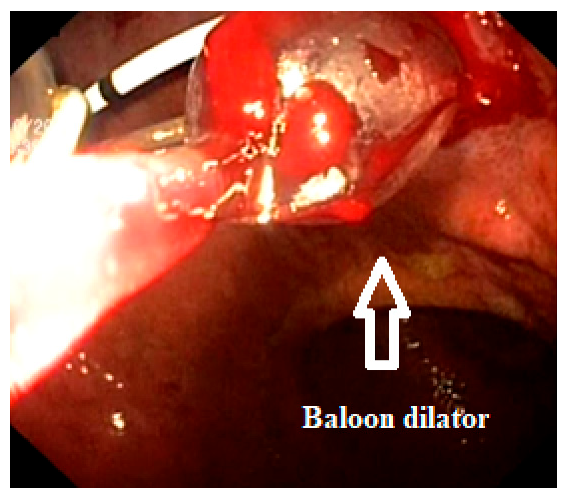 Reports 07 00038 g005