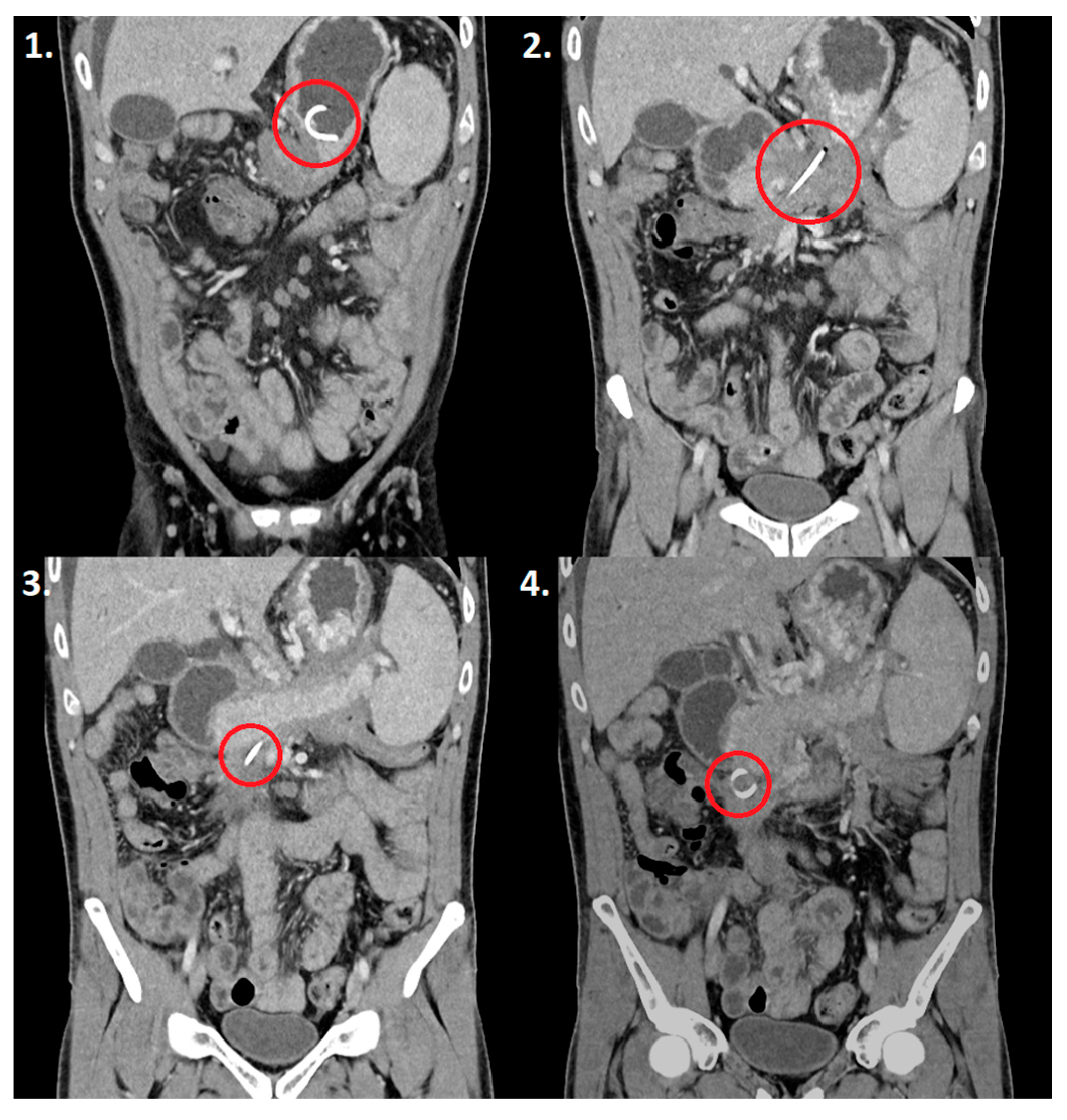 Reports 07 00038 g006