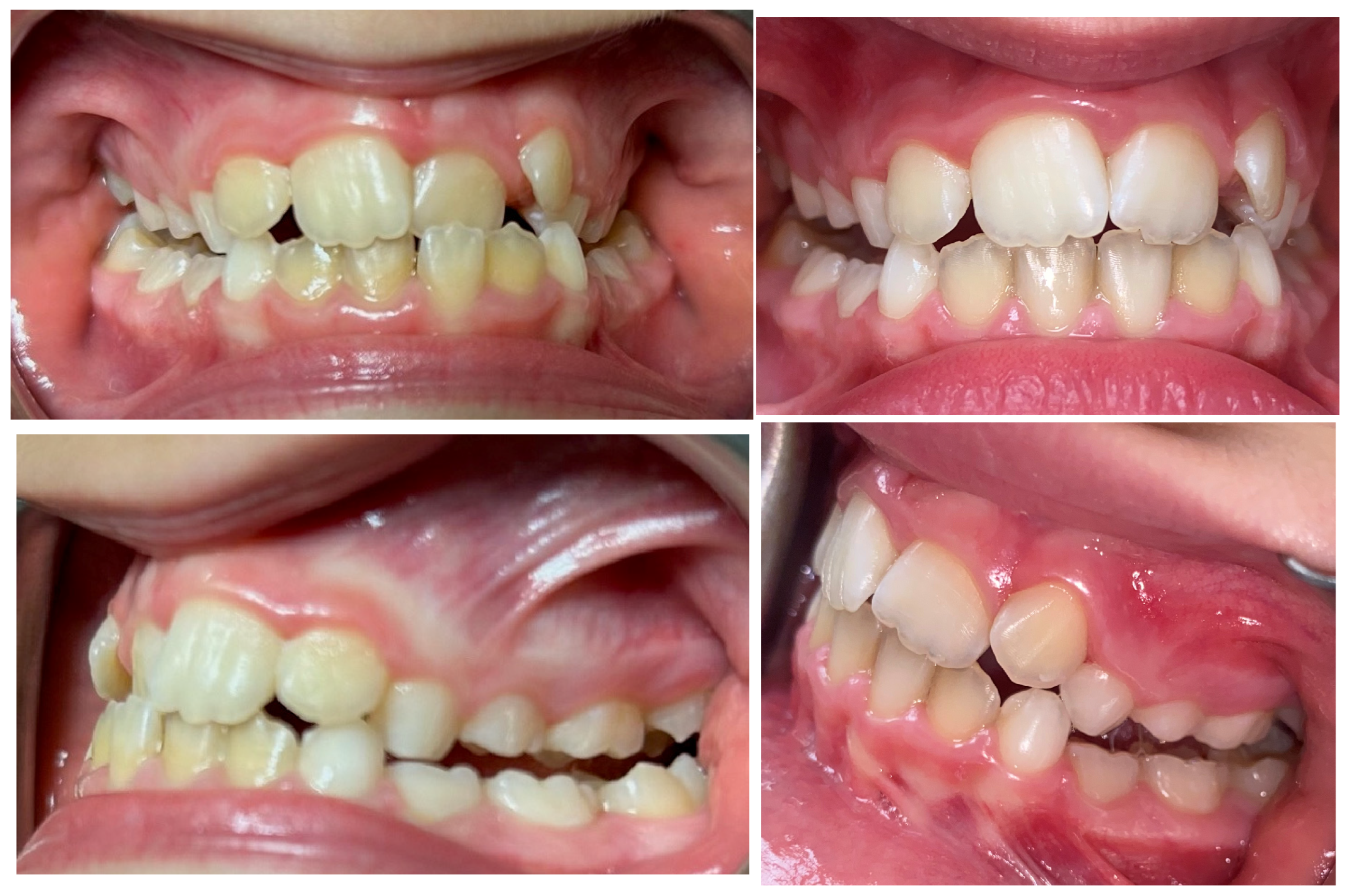 Reports 07 00041 g007