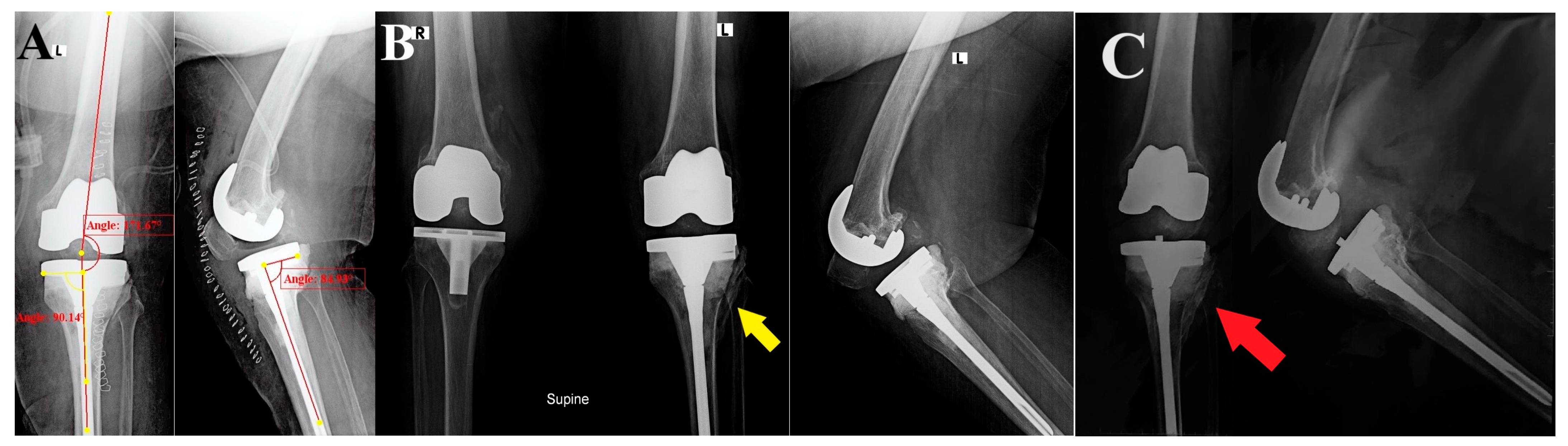 Reports 07 00044 g003