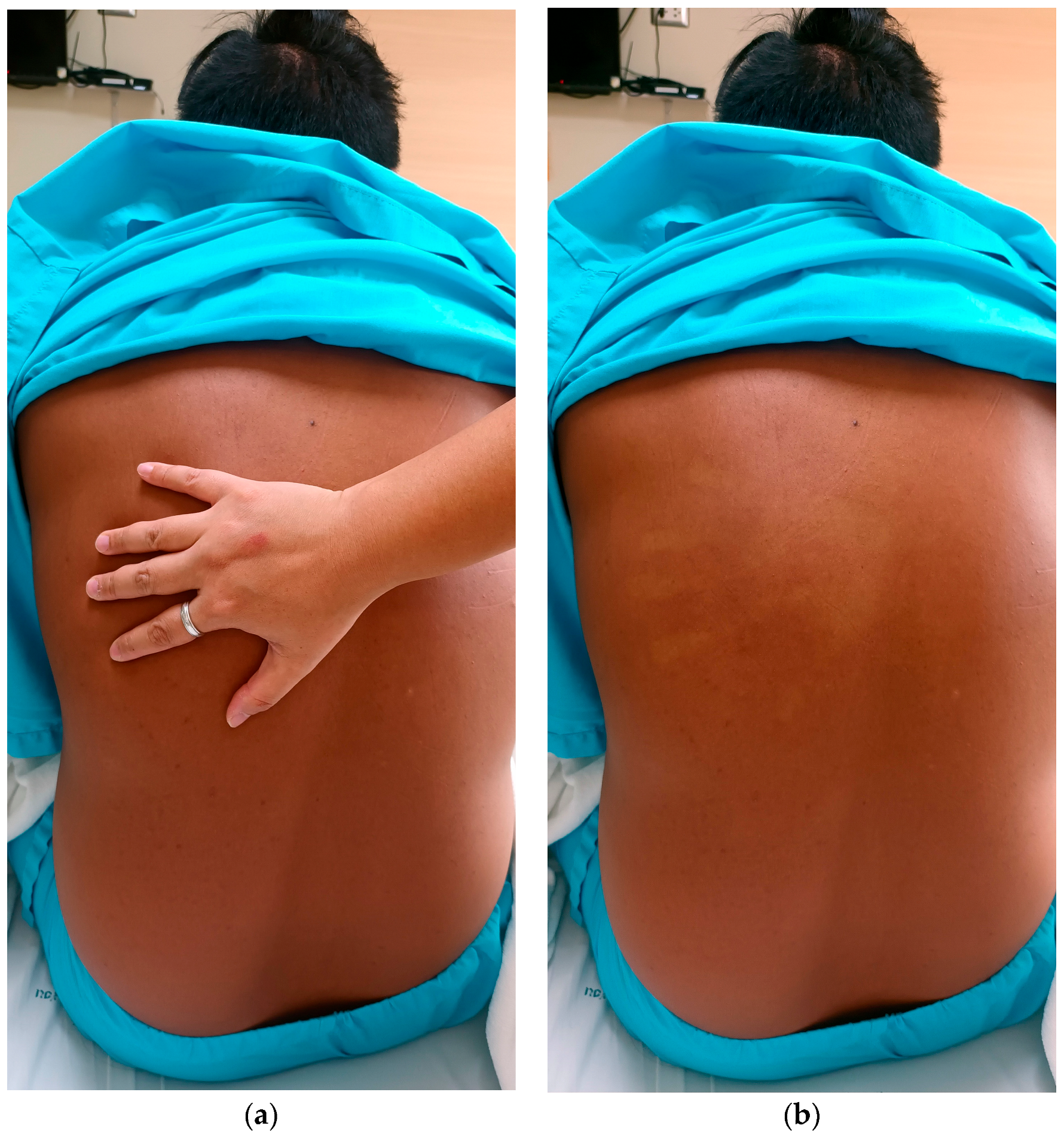 Reports 07 00045 g001