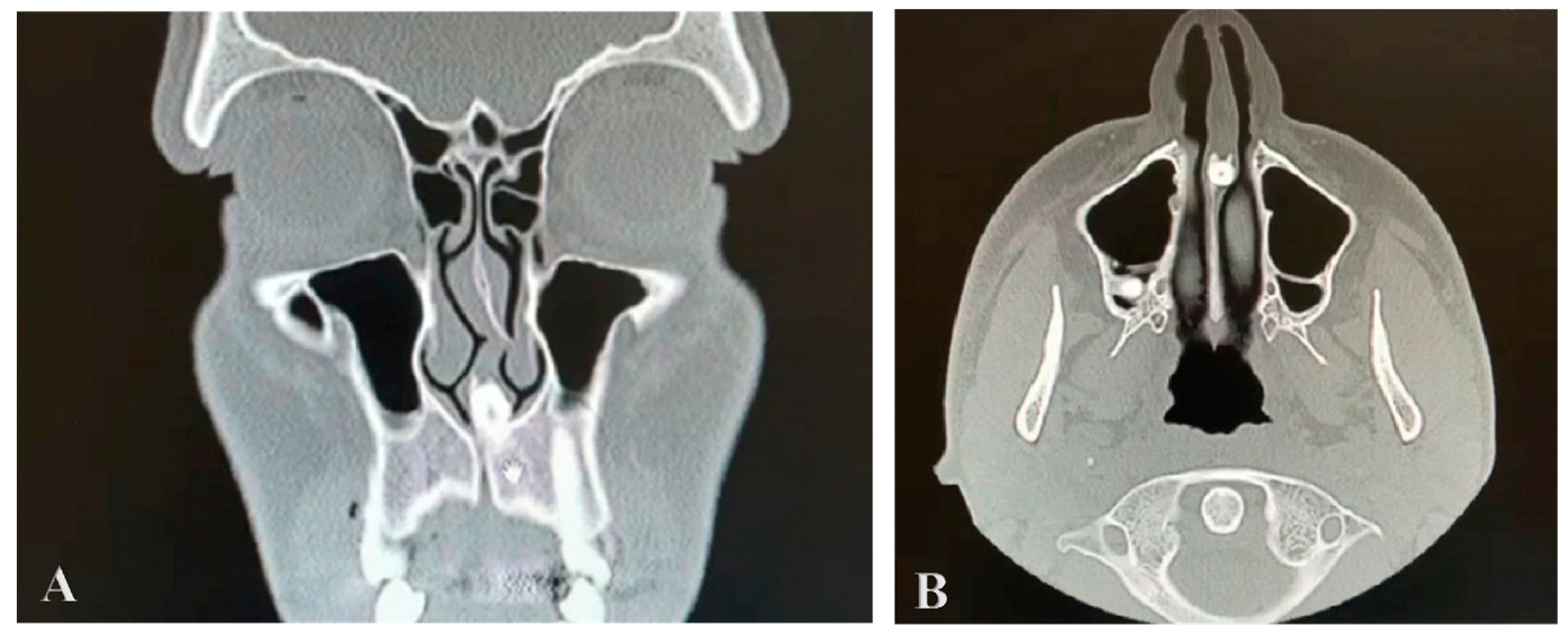 Reports 07 00046 g001