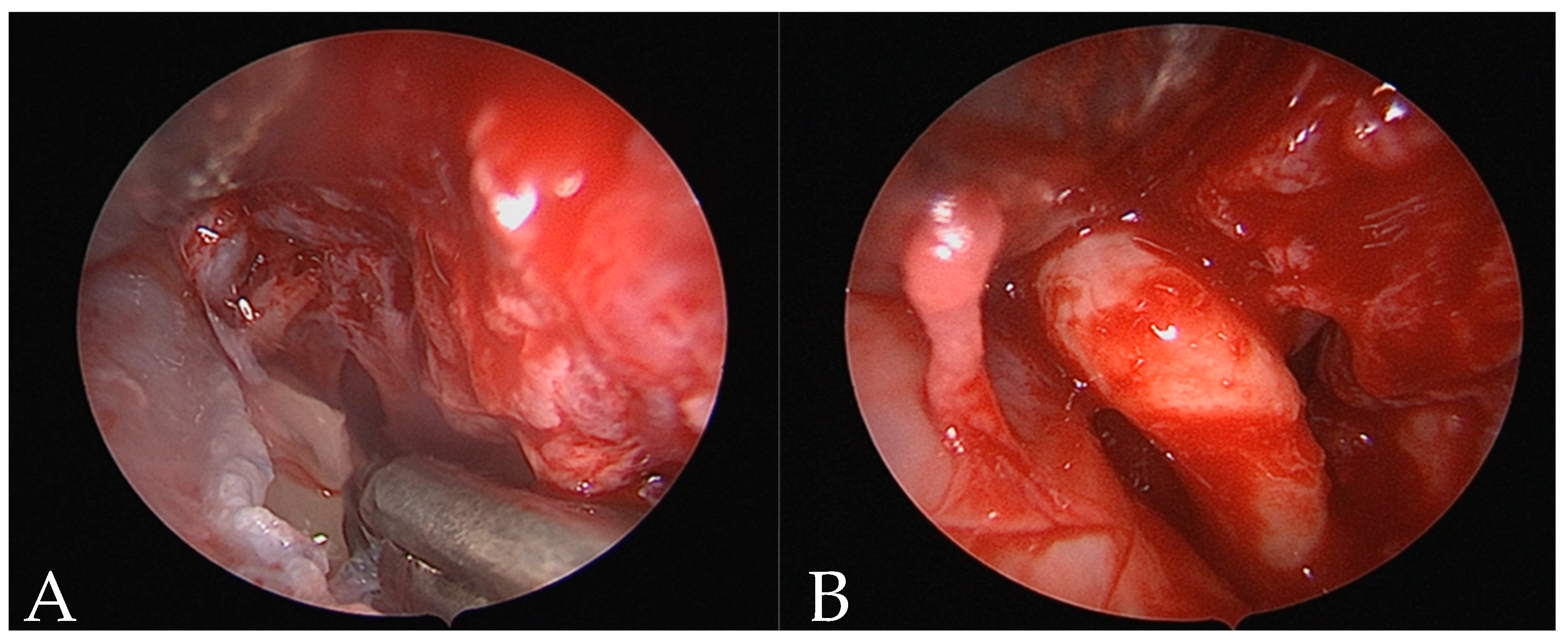 Reports 07 00046 g002