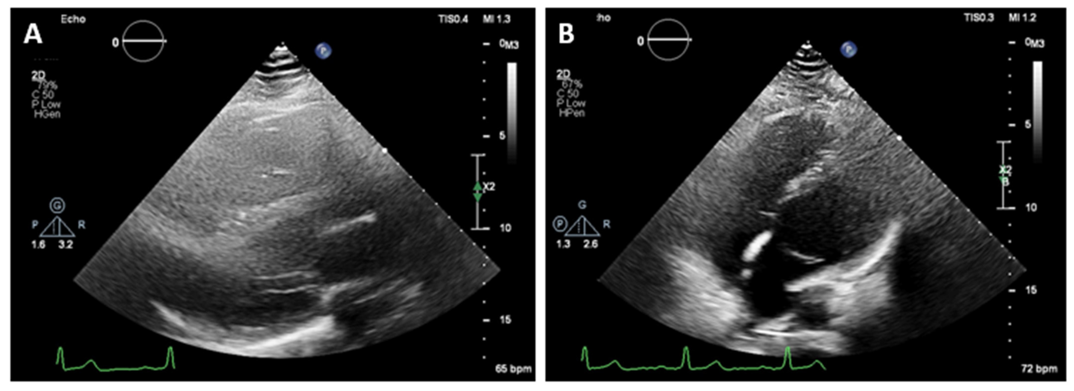 Reports 07 00048 g002