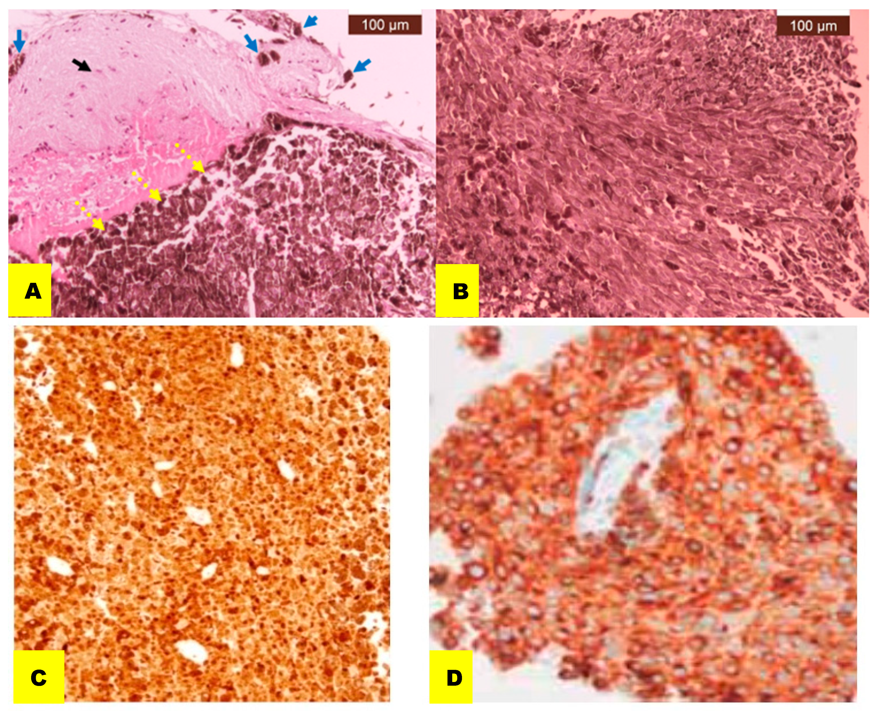 Reports 07 00049 g003